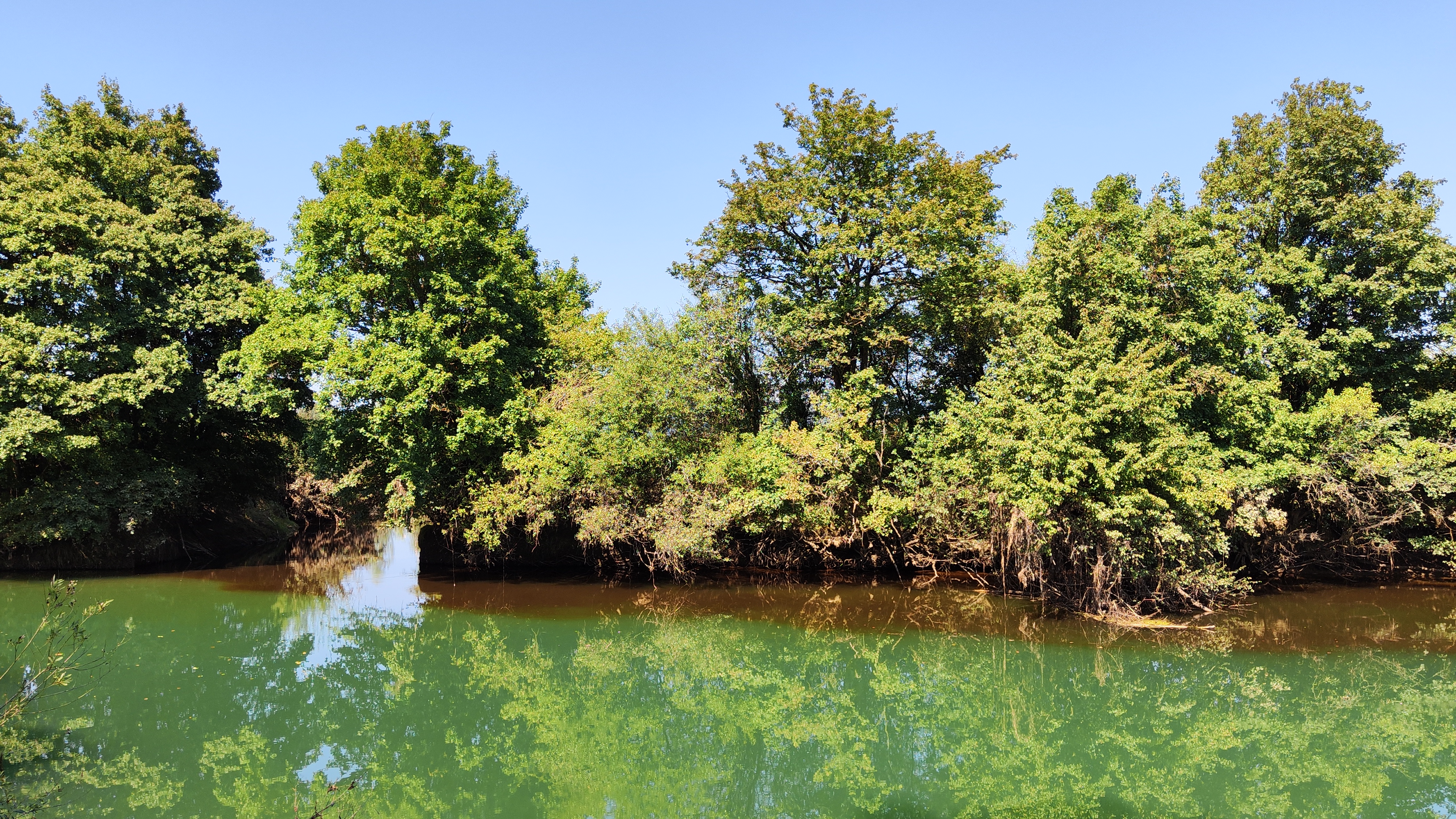 onesnaženo Ljubljansko barje