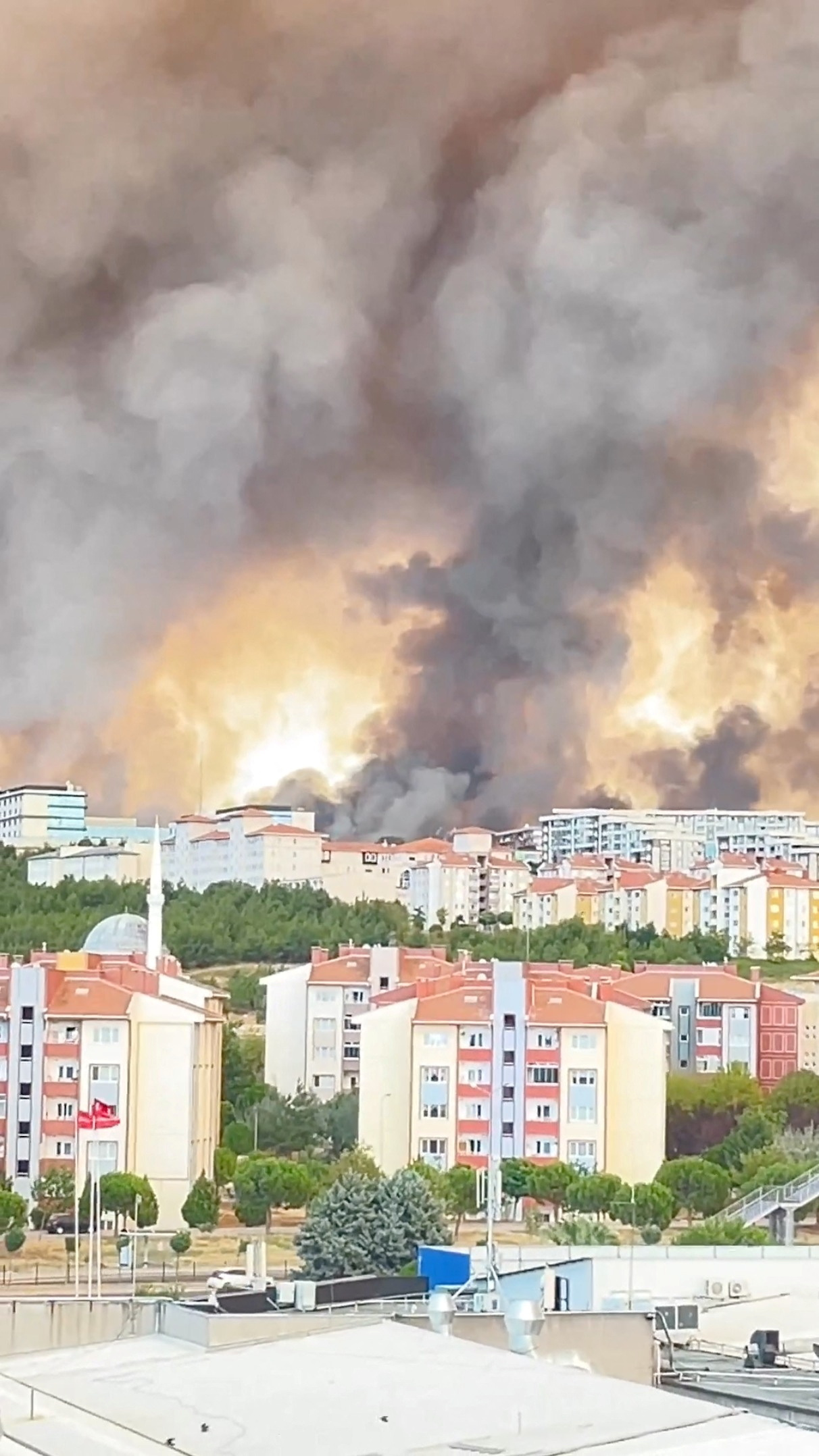 Canakkale,turčija,gozdni,požar,ogenj