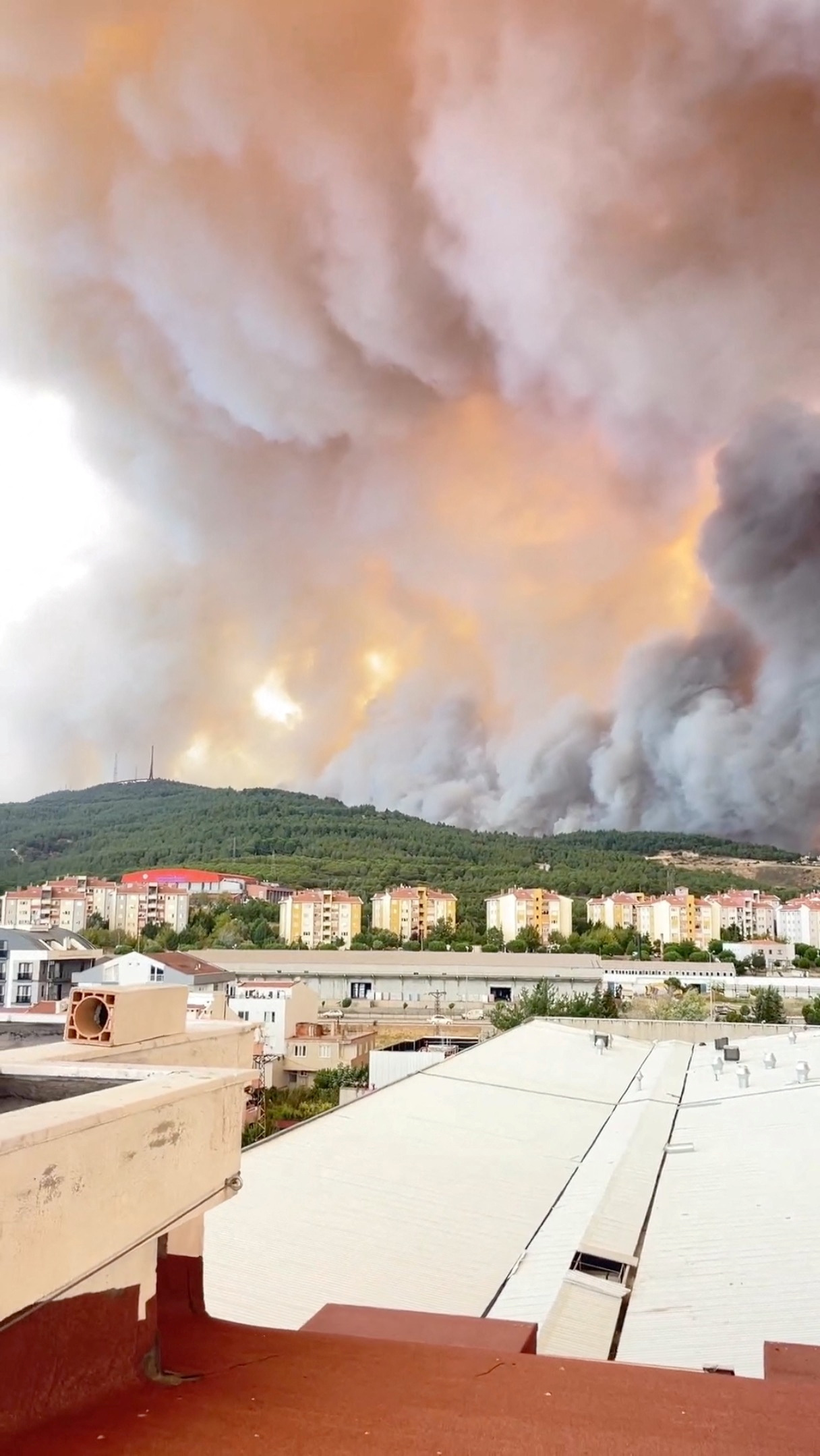 Canakkale,turčija,gozdni,požar,ogenj