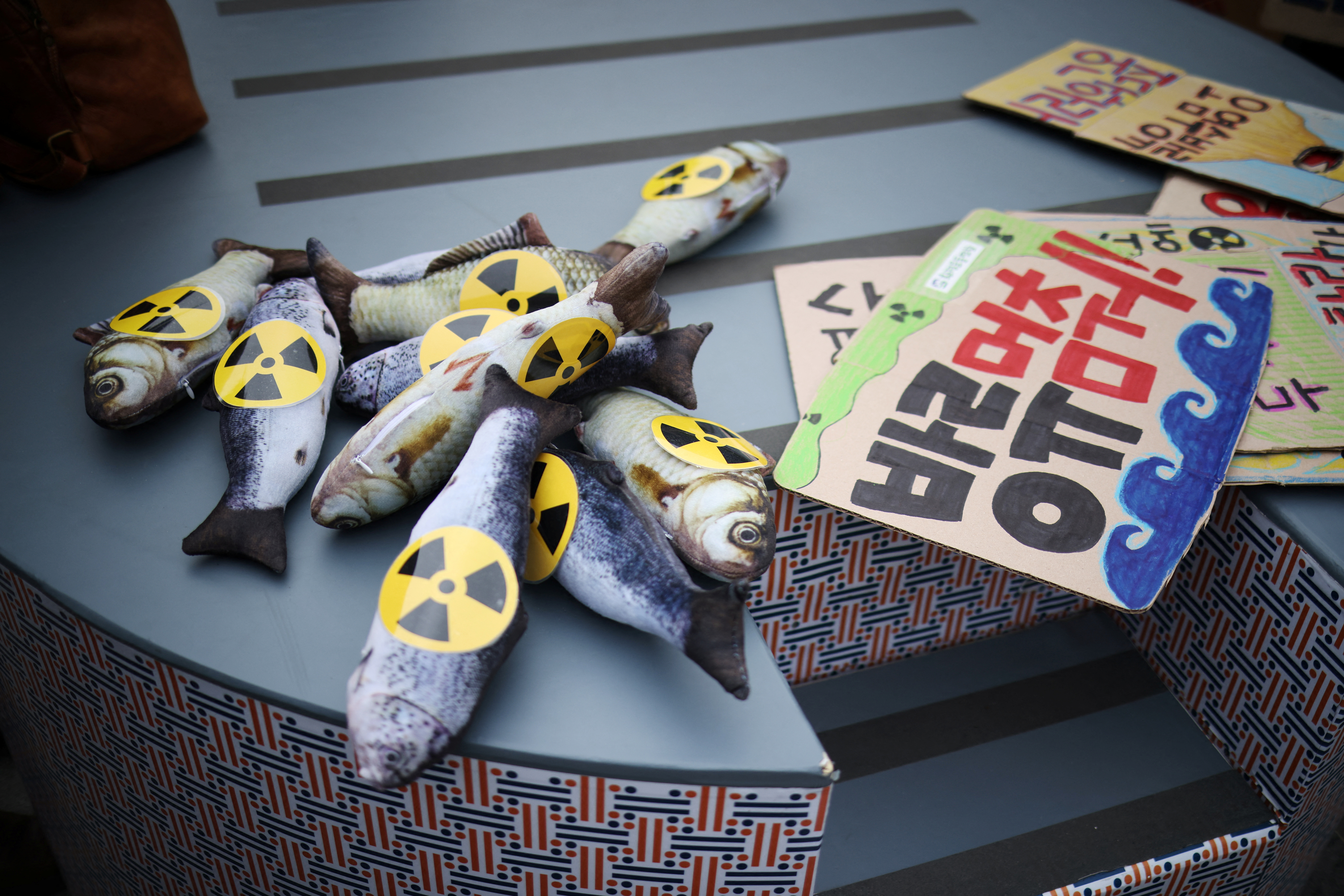 Kim Hong-Ji/REUTERS (Južna Koreja)