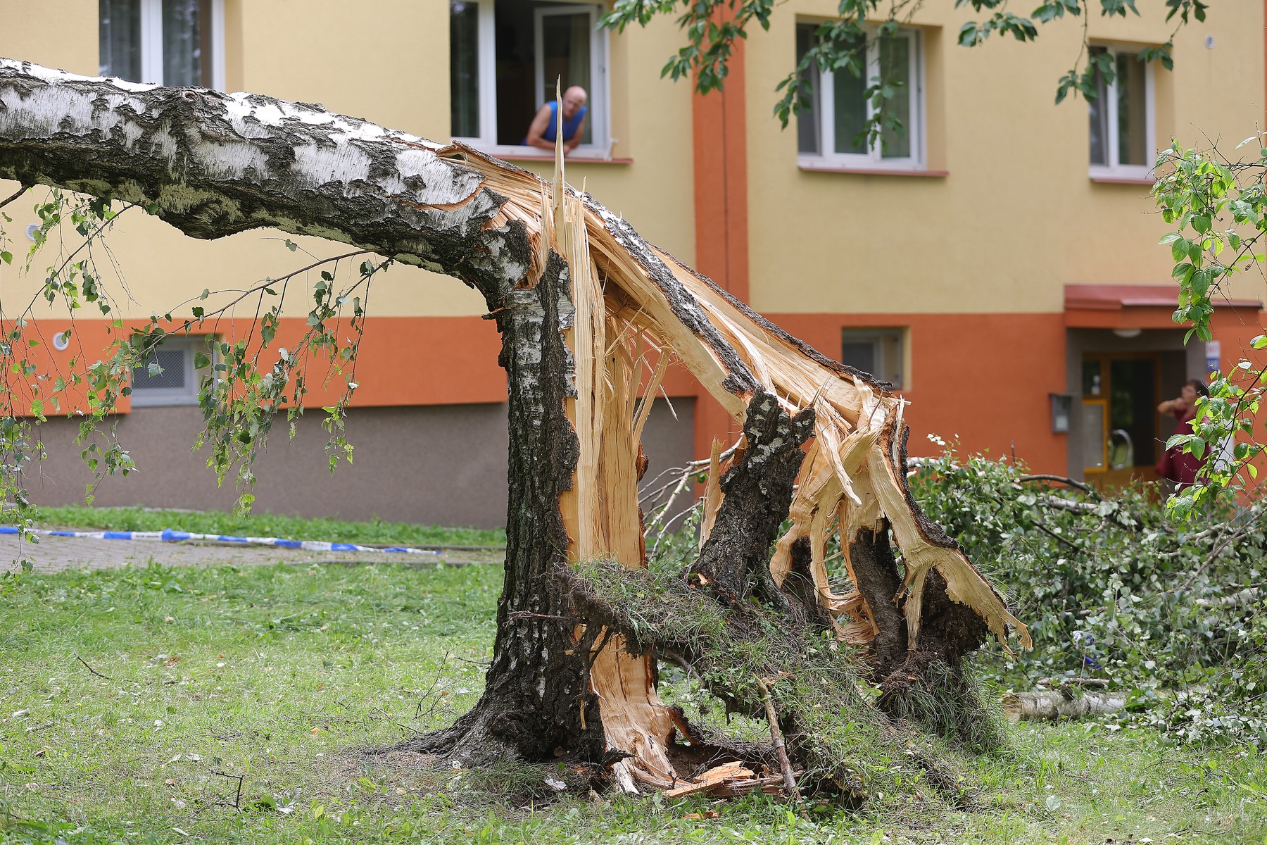 Neurje na Češkem (PROFIMEDIA)