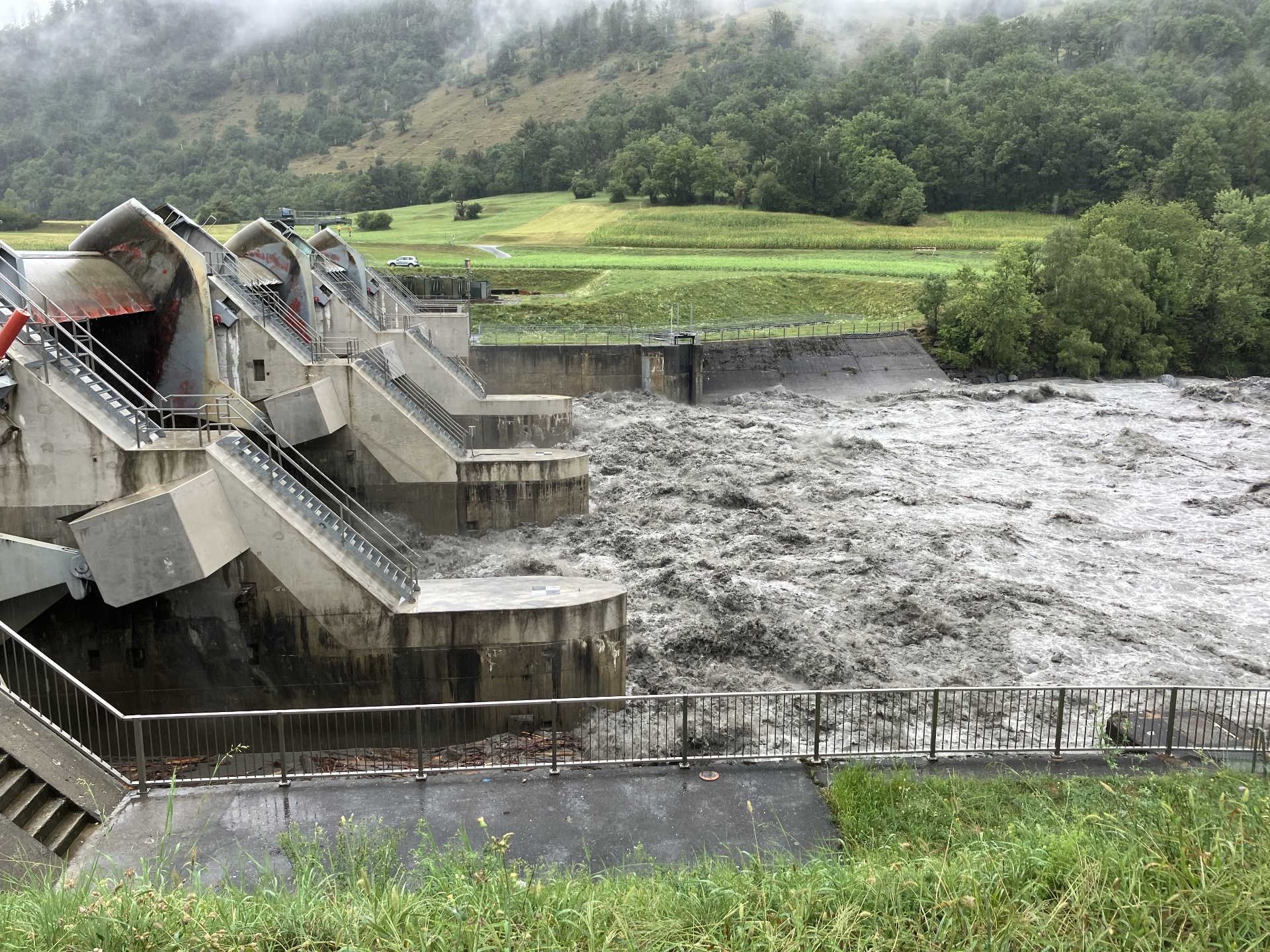 polave, neurje,švica