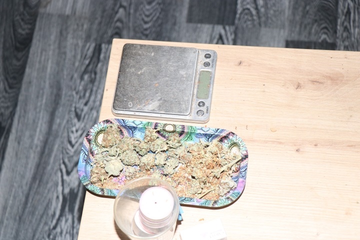 Med hišno preiskavo v Mariboru odkrili konopljo