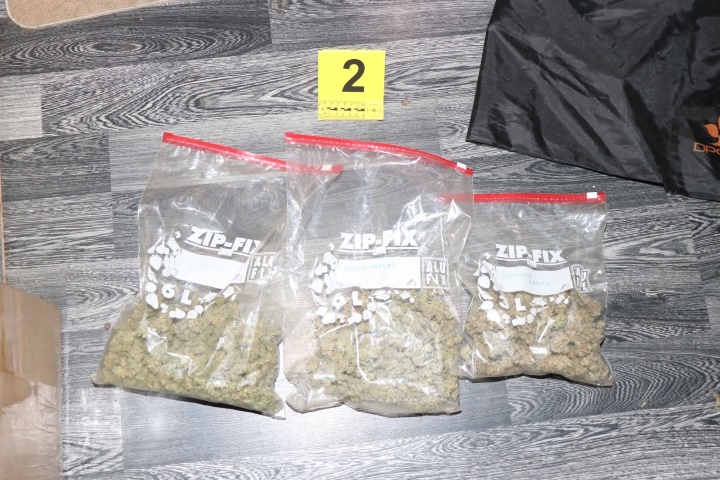 Med hišno preiskavo v Mariboru odkrili konopljo