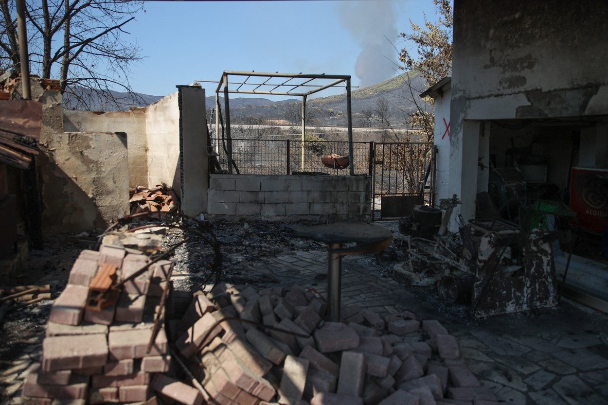 Posledice požara, ki divja na severovzhodu Grčije. (Foto: PROFIMEDIA)