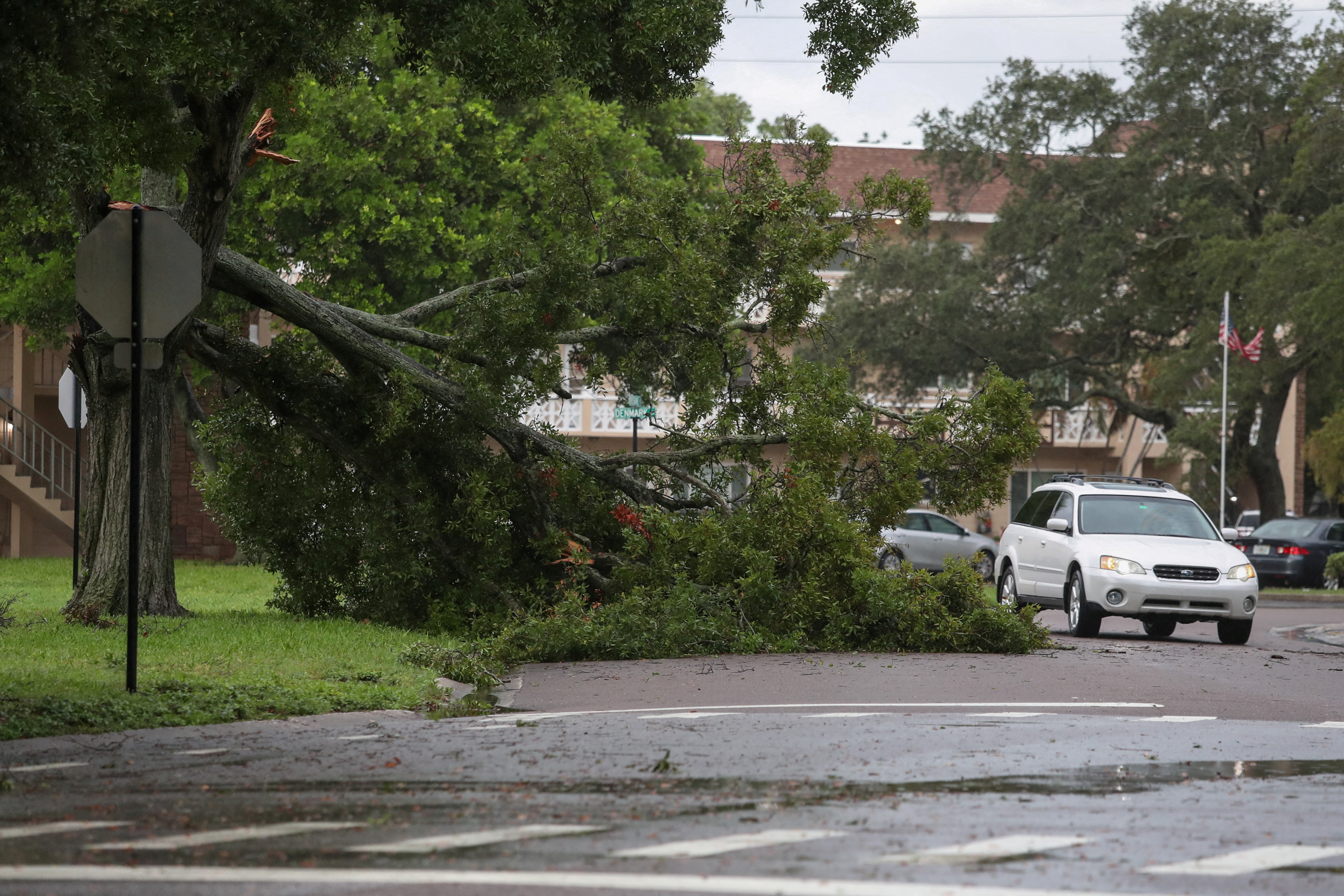 FILE PHOTO: A resident drives past a fallen tree from Hurricane Idalia in Clearwater, Florida