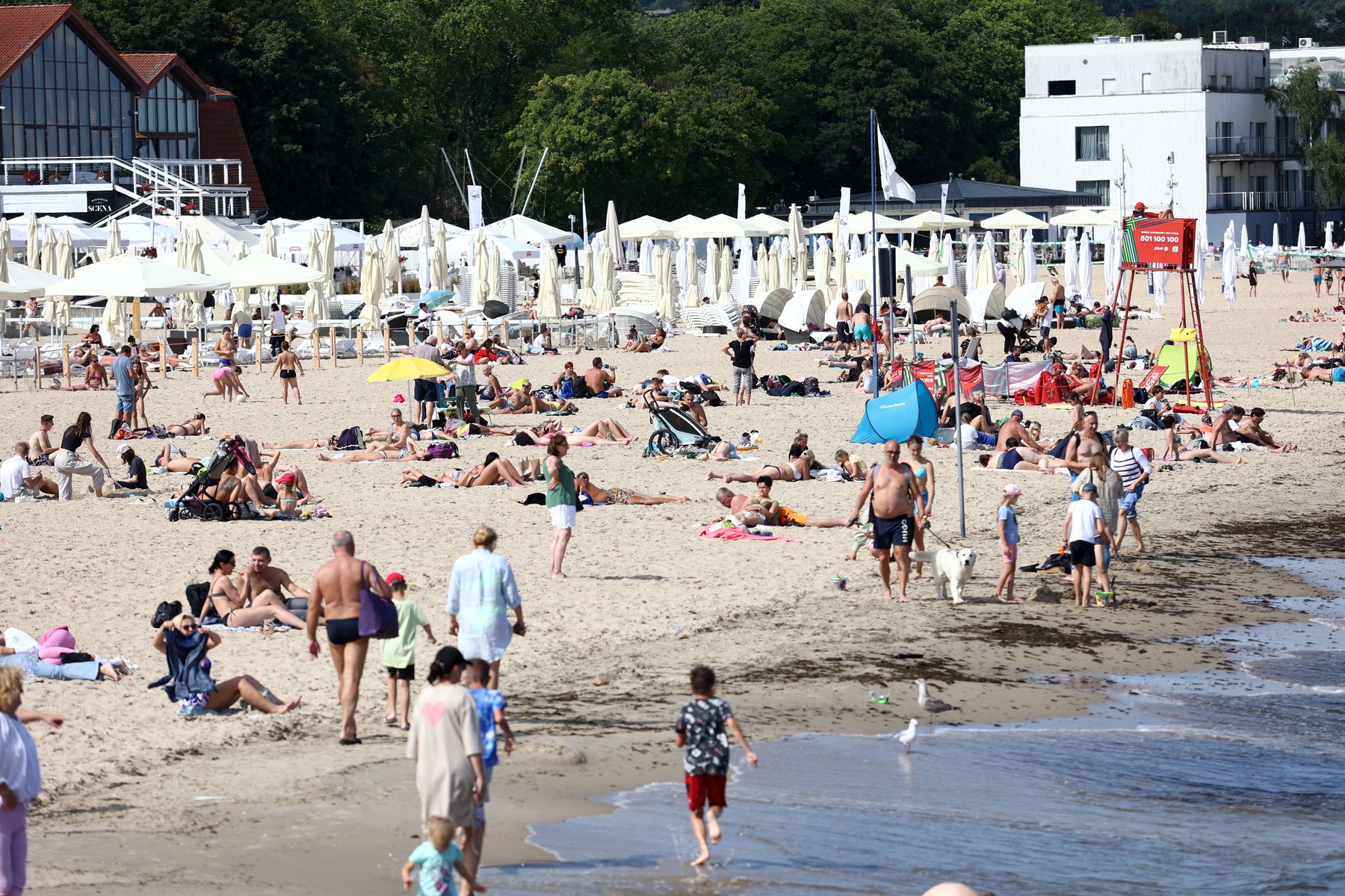 plaža, kopalci, poletje, poljska