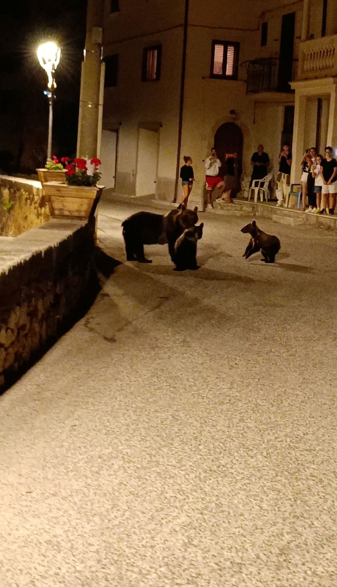 Gemma Di Pietro/REUTERS