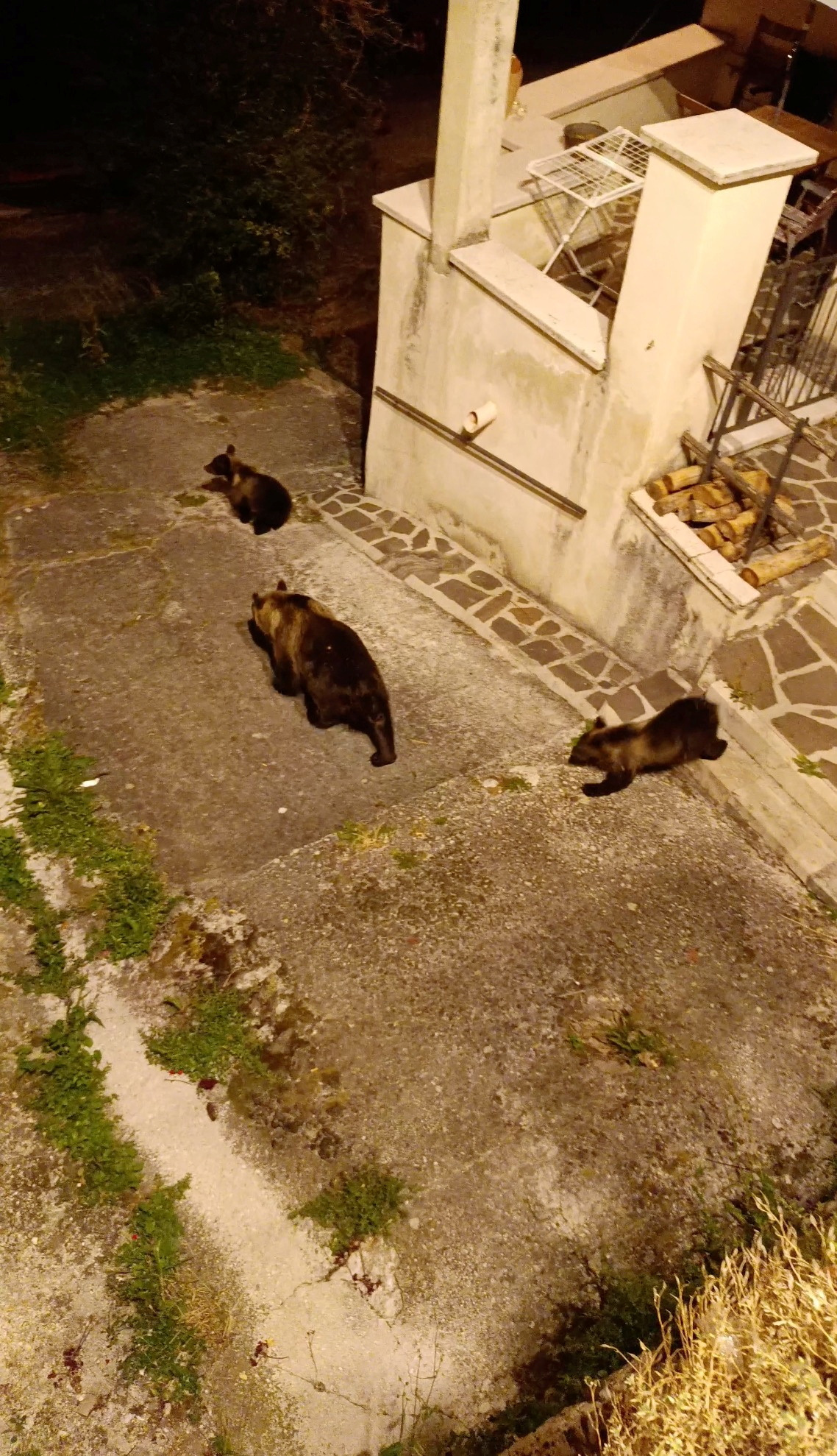 Gemma Di Pietro/REUTERS