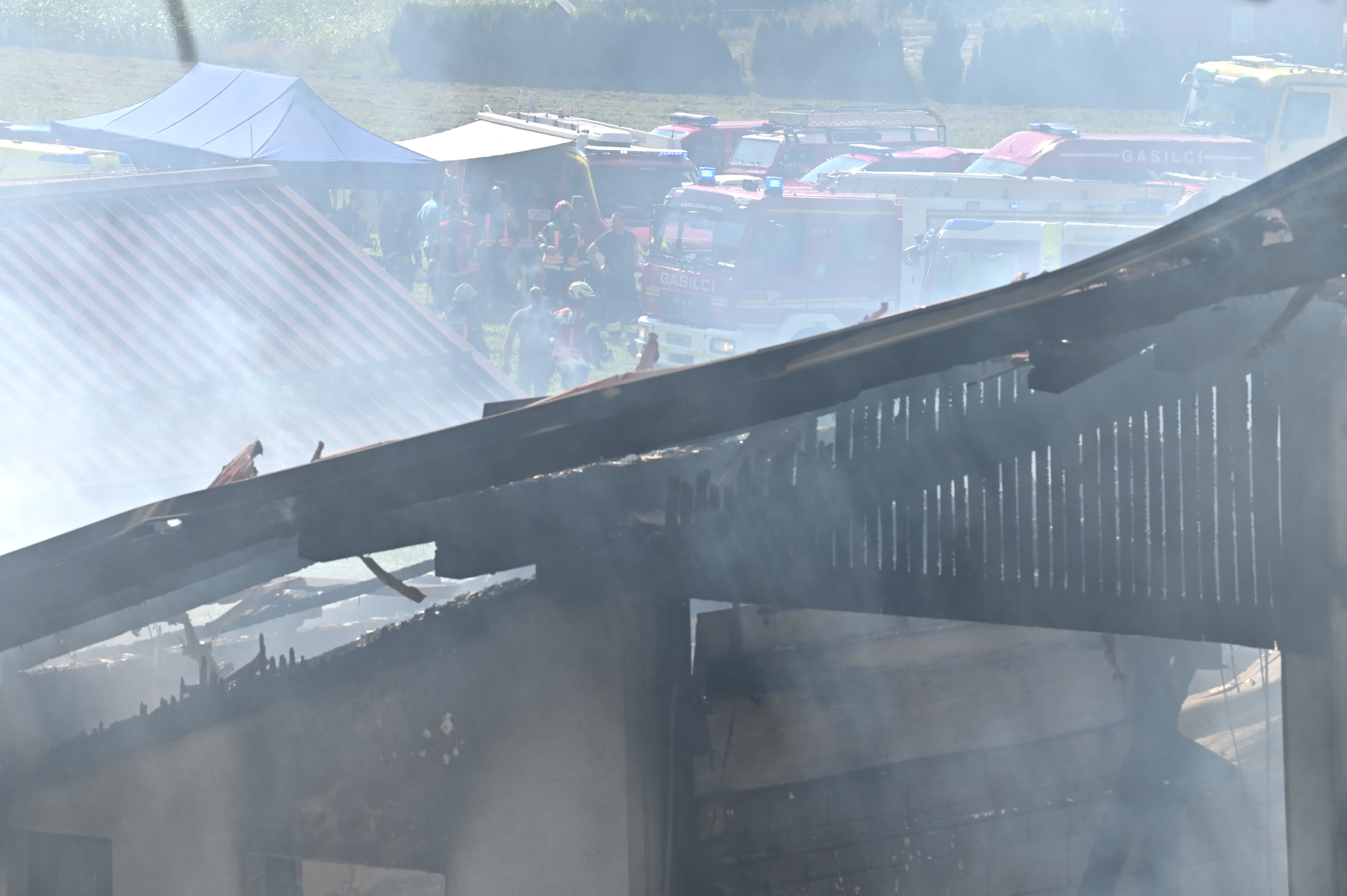 Žiga Živulović jr. /BOBO