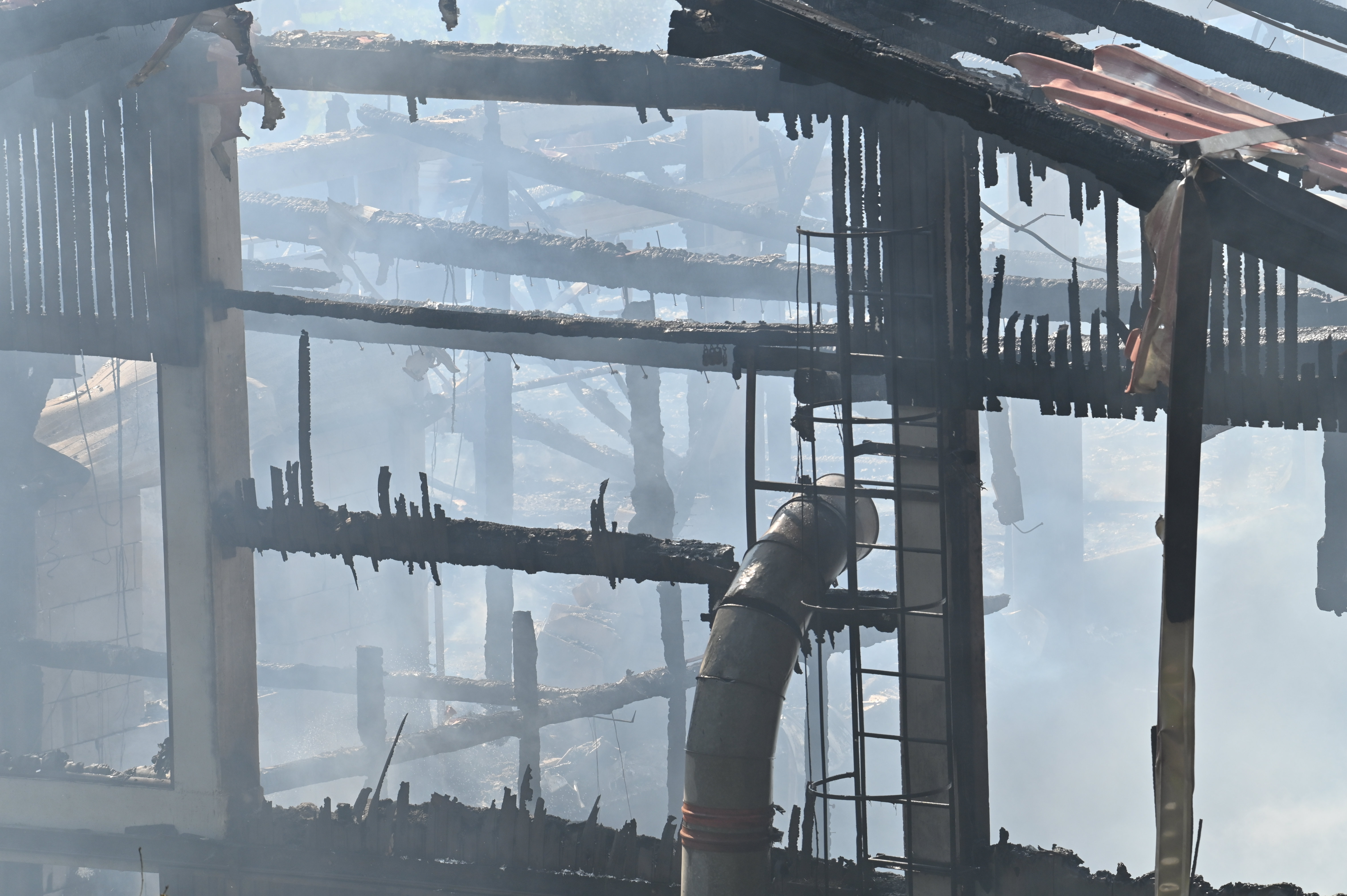 Žiga Živulović jr. /BOBO