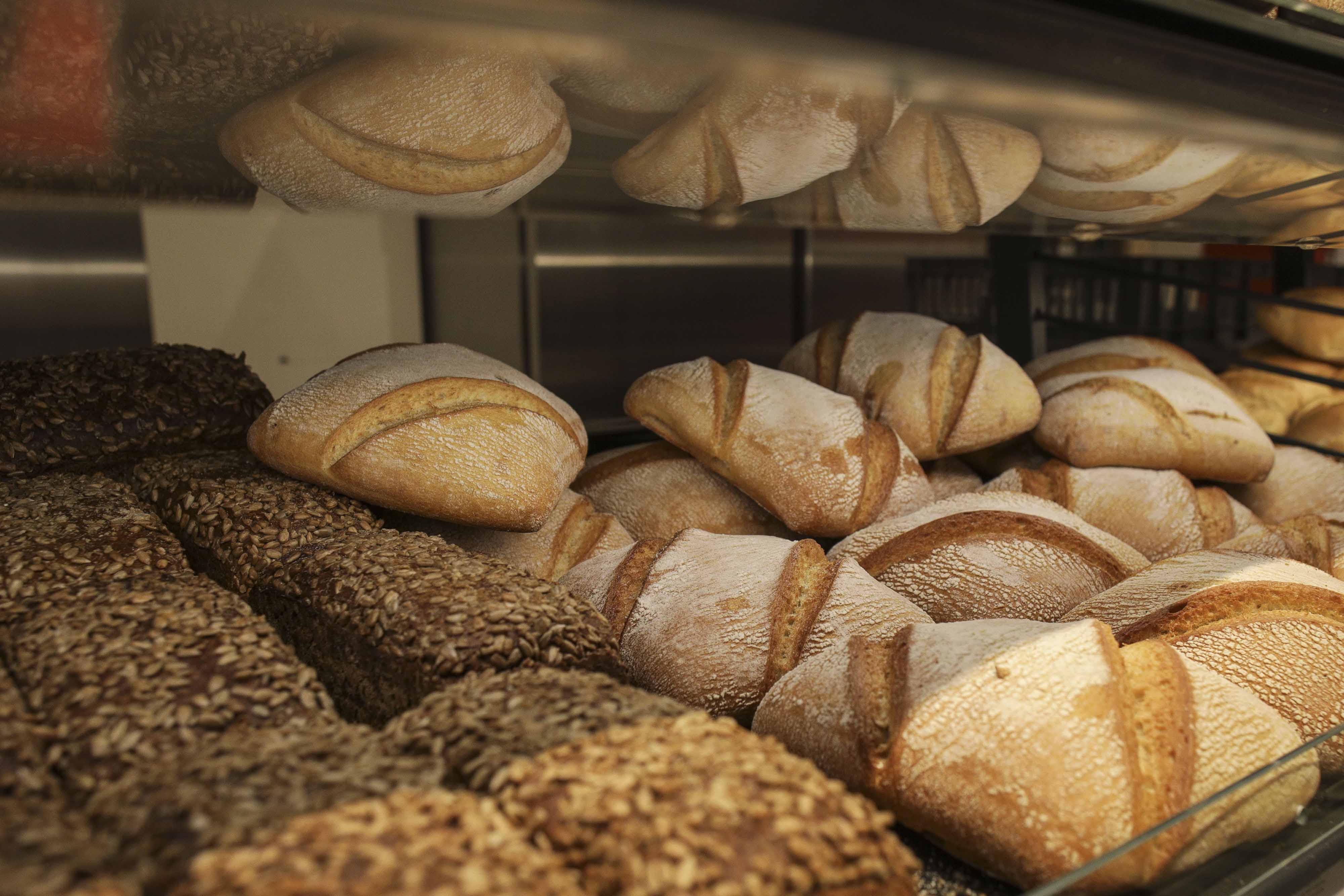 PREHRANA,PEK,PEKARNA,PANEM,VEVČE,PRIPRAVA,hrana,kruh,moka