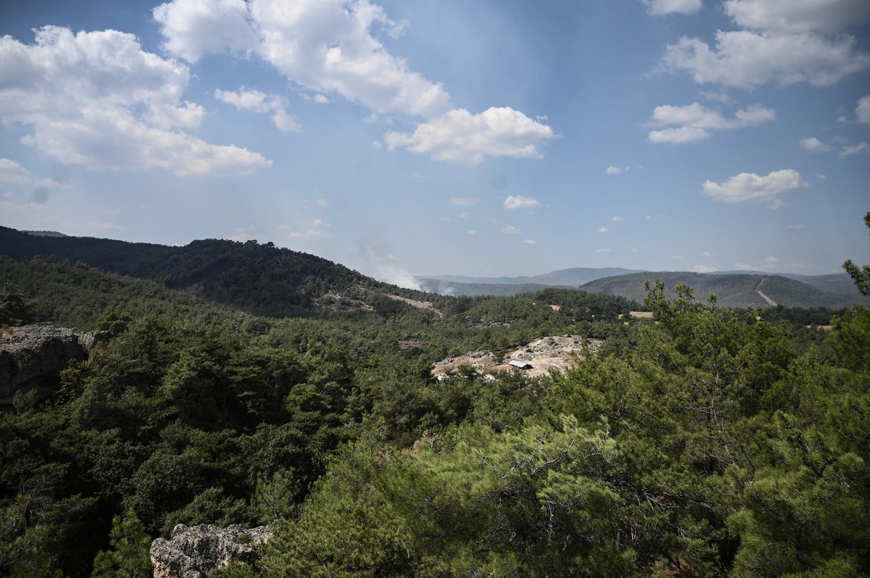 Na severovzhodu Grčije že dva tedna pustoši požar. (Foto: PROFIMEDIA)