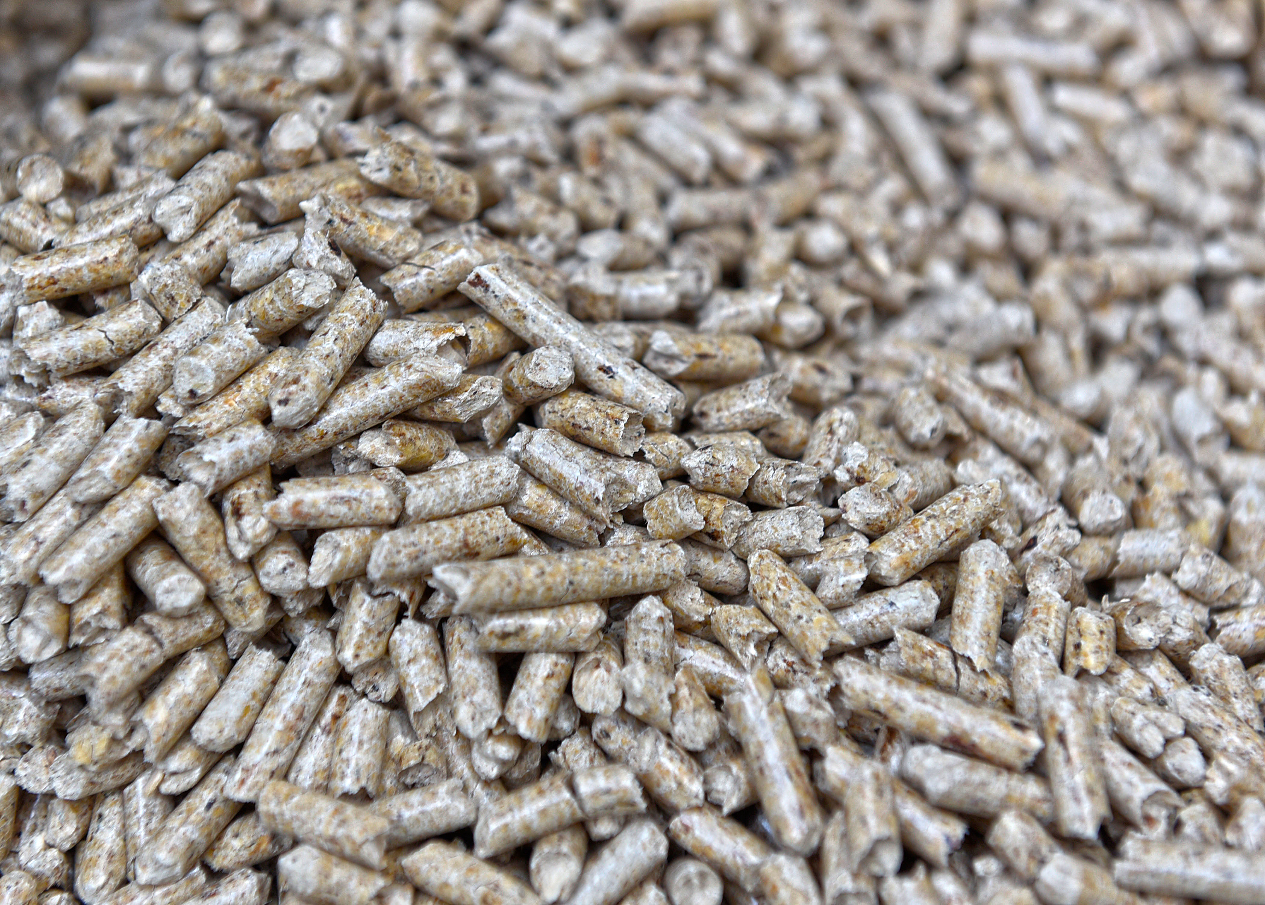 peleti, kurilna sezona, test kakovosti