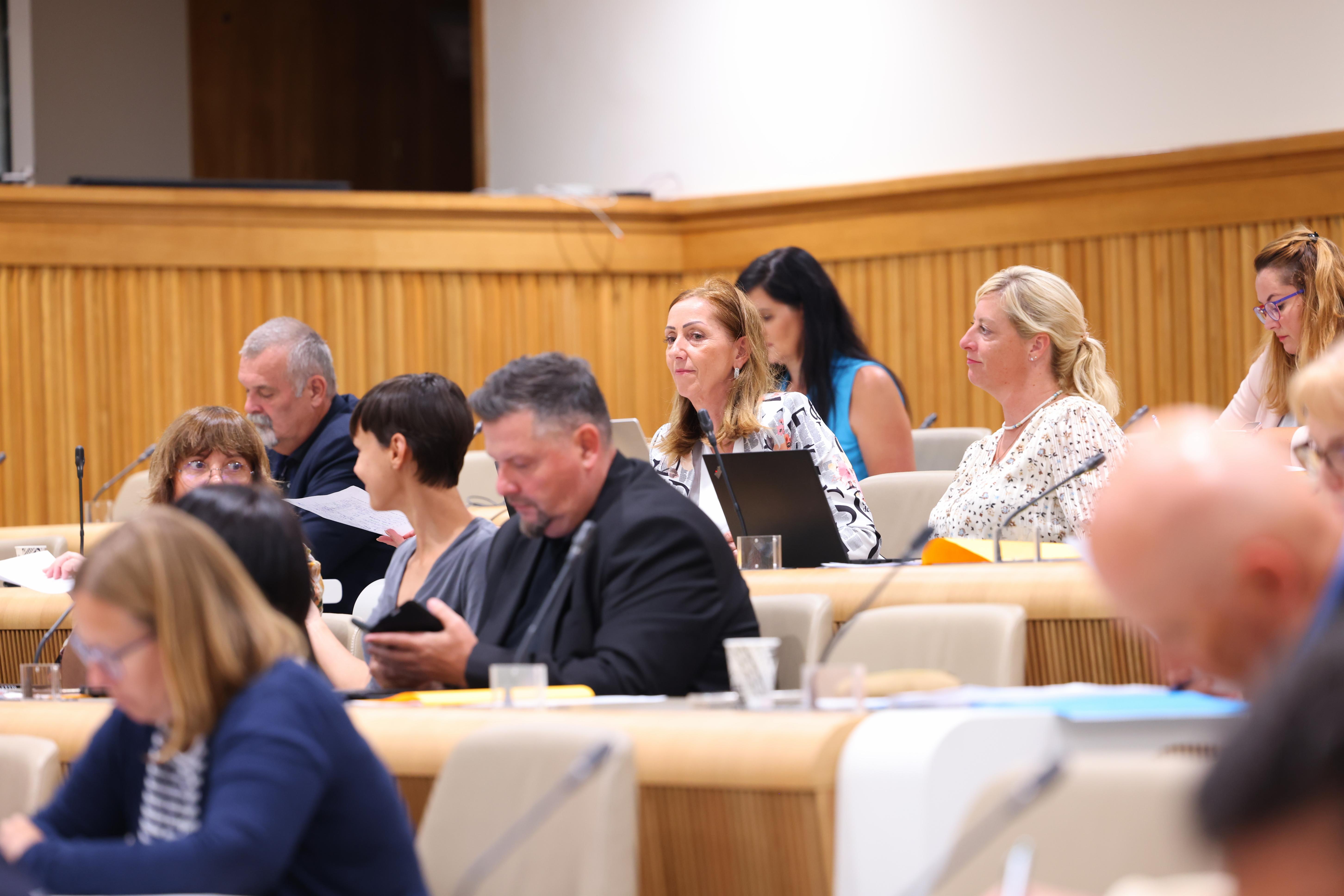 Odbor za notranje zadeve