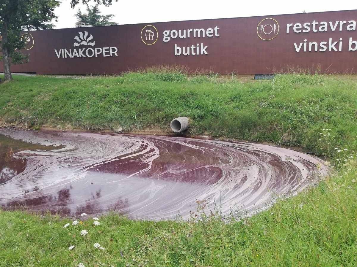 reka badaševica, vino, iztekanje