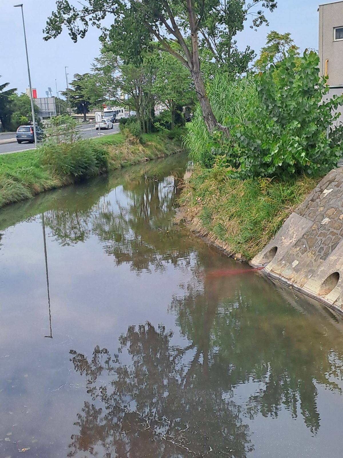 reka badaševica, vino, iztekanje