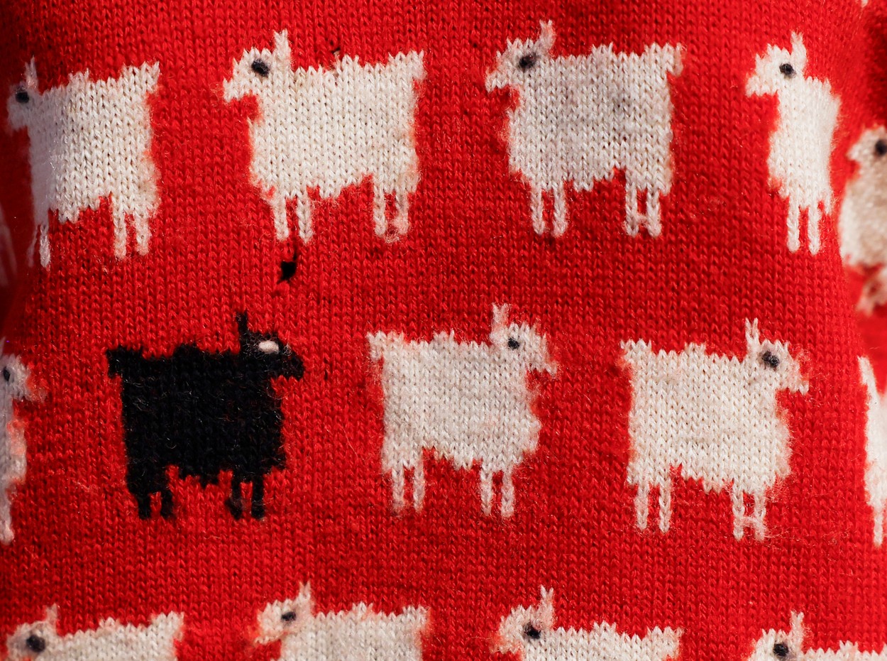 Princesa diana, rdeč pulover s črno ovco