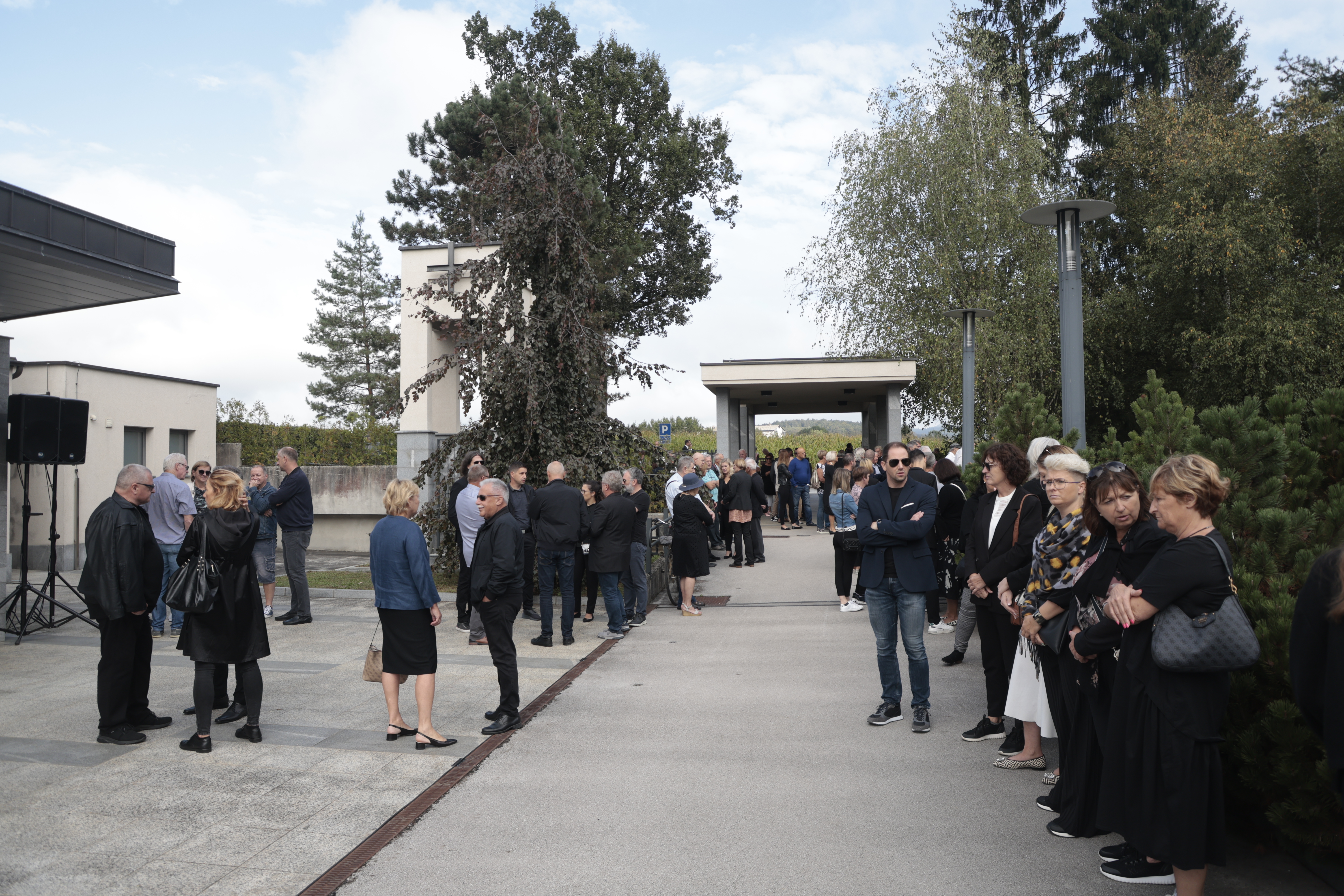 Borut Živulović/ BOBO