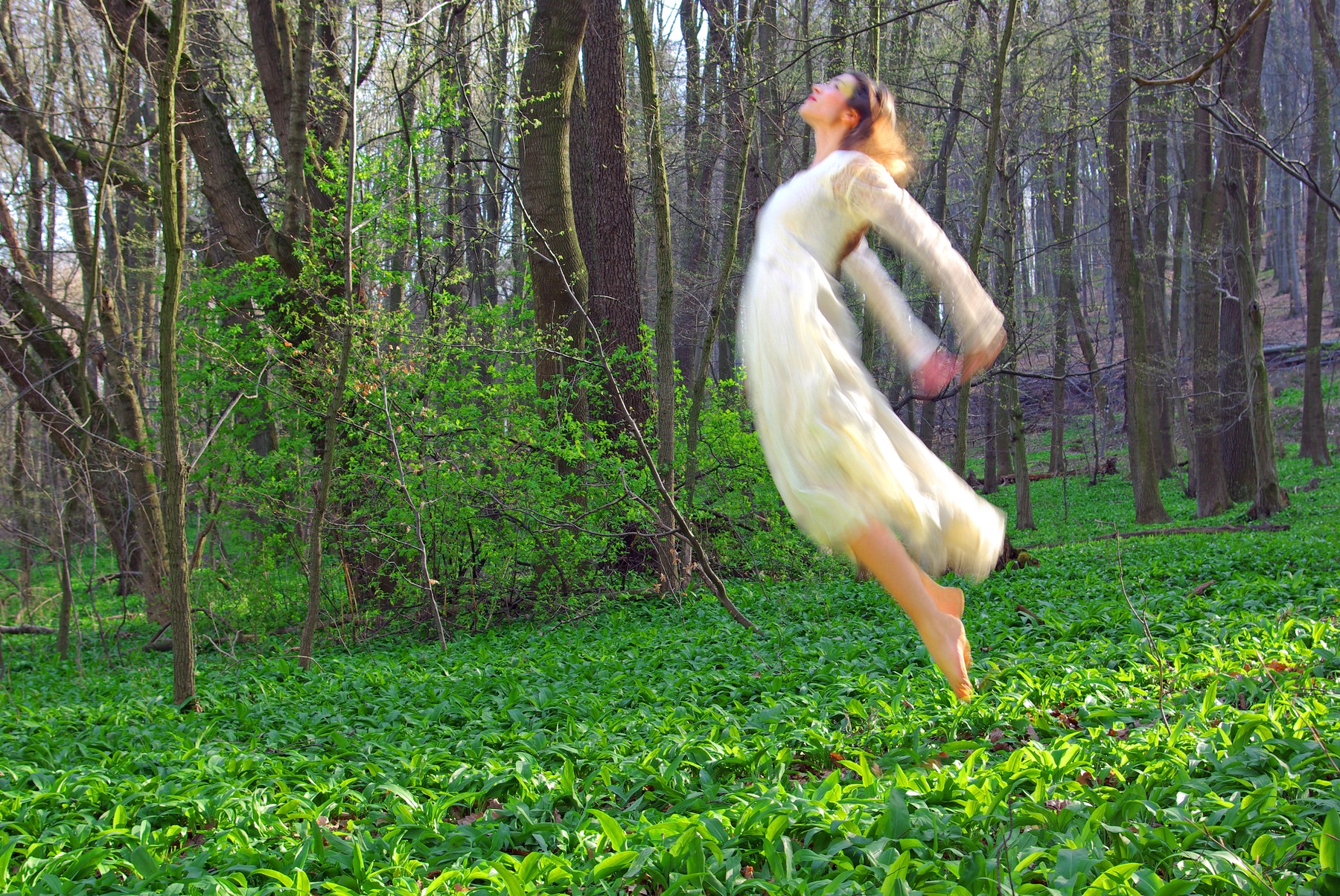 gozd, vila, sreča, pomlad