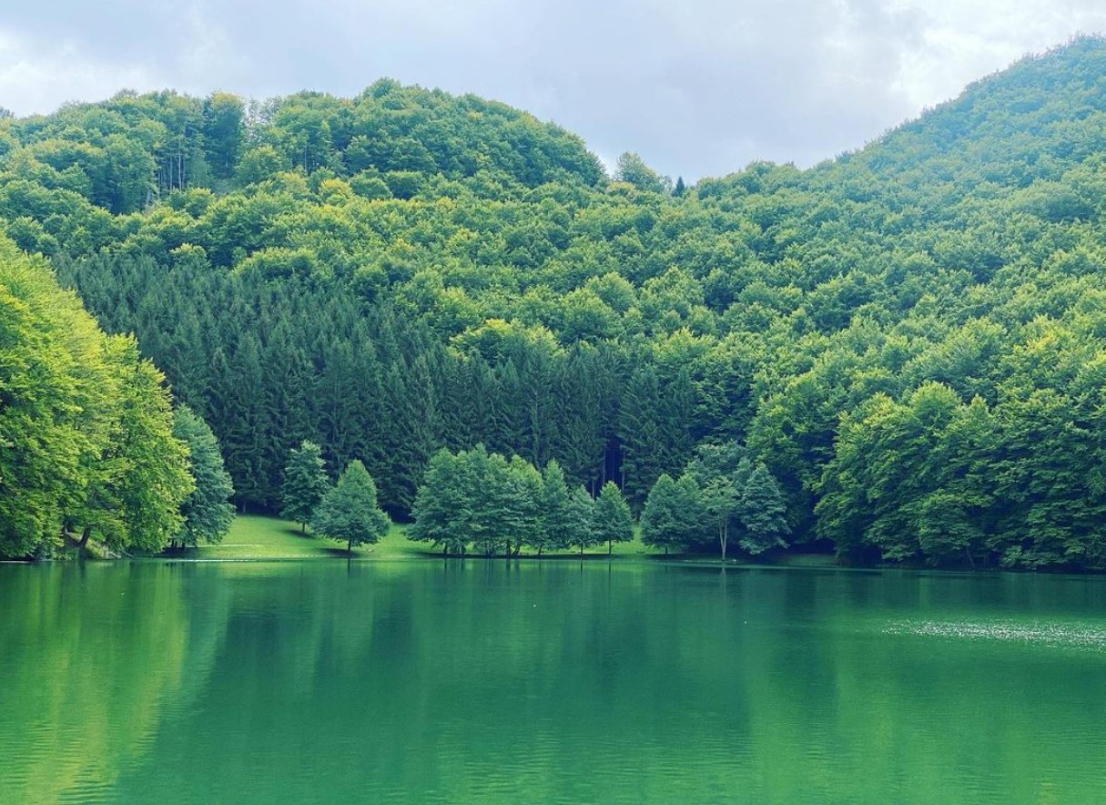 jezero, Balkana, gozd, Bosna in Hercegovina, BiH