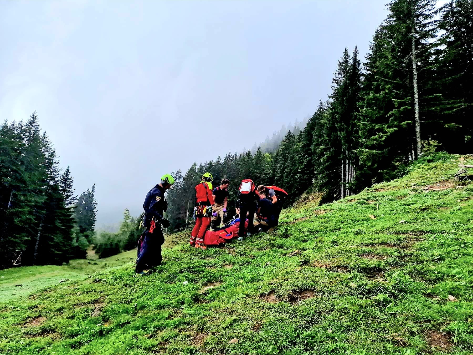 reševanje poškodovanca, bik, jesenice