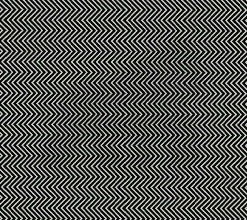 optična  iluzija, optična prevara, gorila