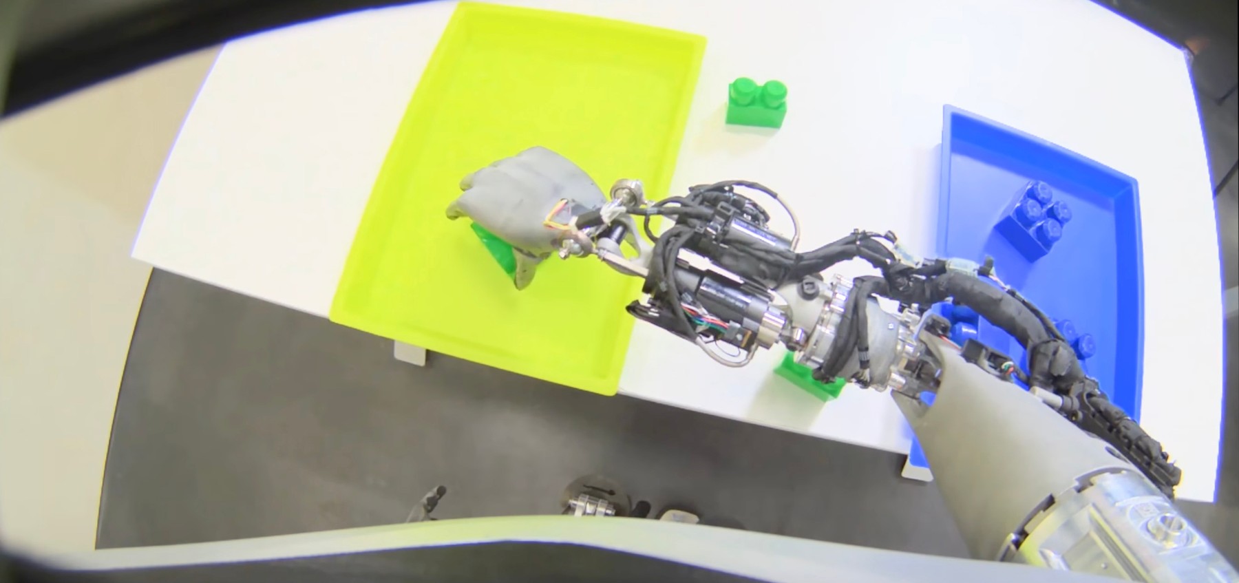 humanoidni robot, Optimus, Elon Musk, Tesla, umetna inteligenca