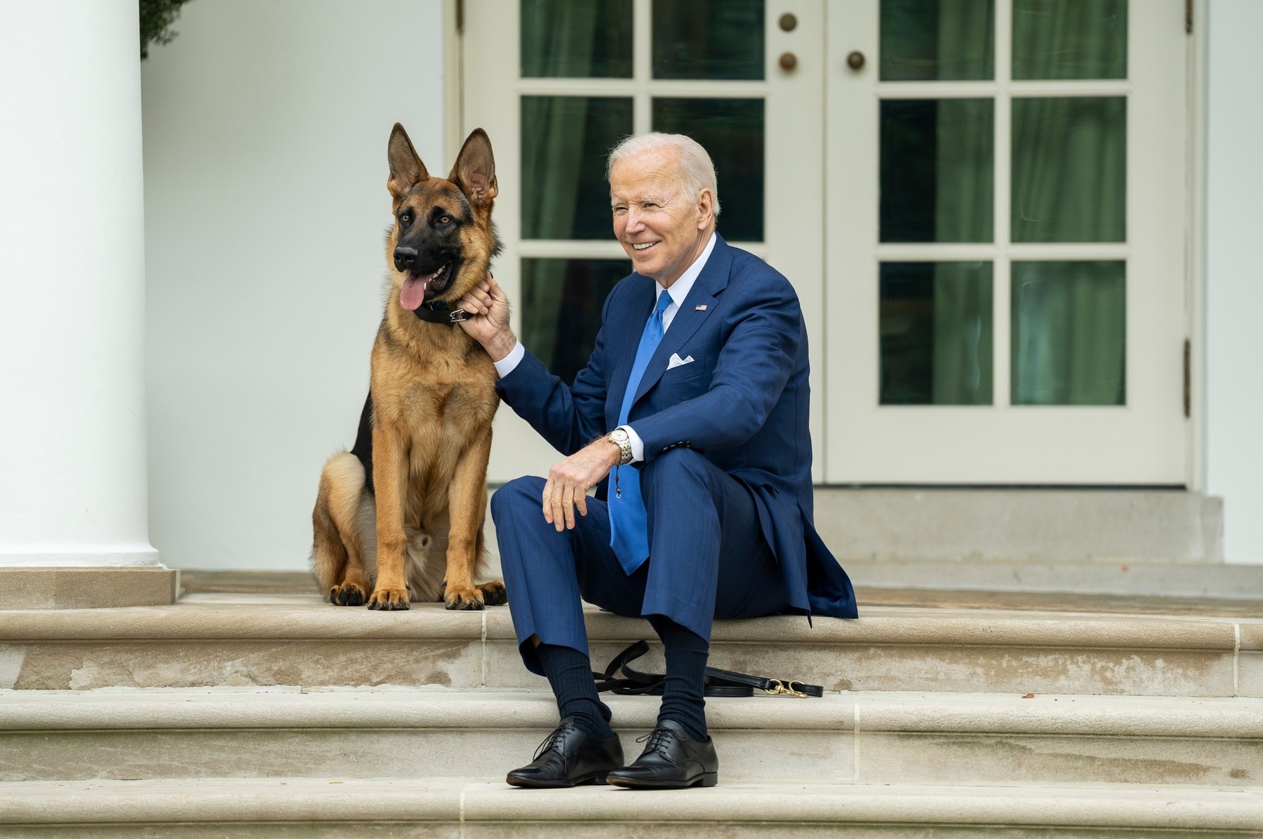 Joe Biden, nemški ovčar, pes
