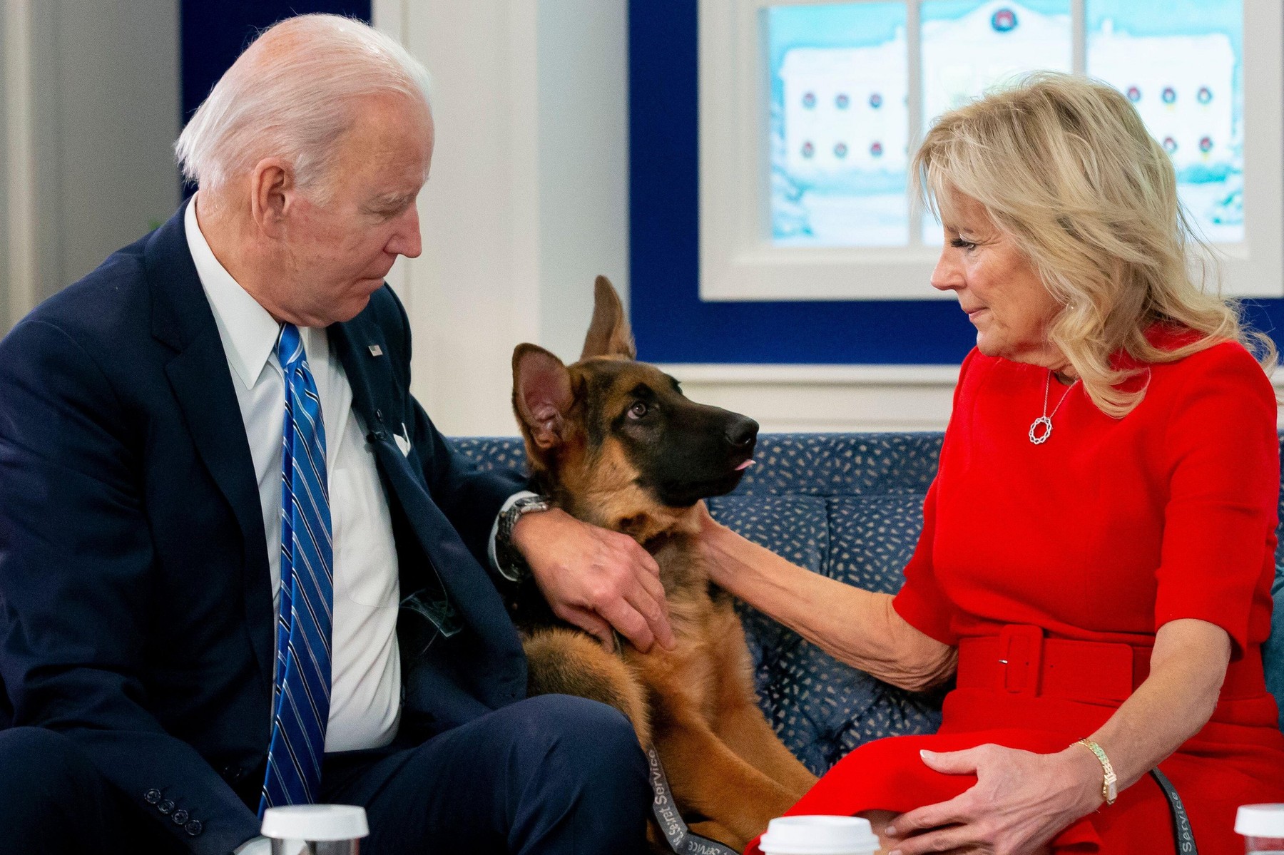 joe biden, jill biden, commander, nemški ovčar