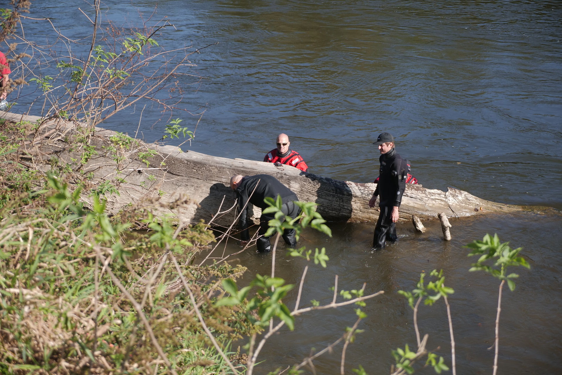 Foto: Sobotainfo/BOBO