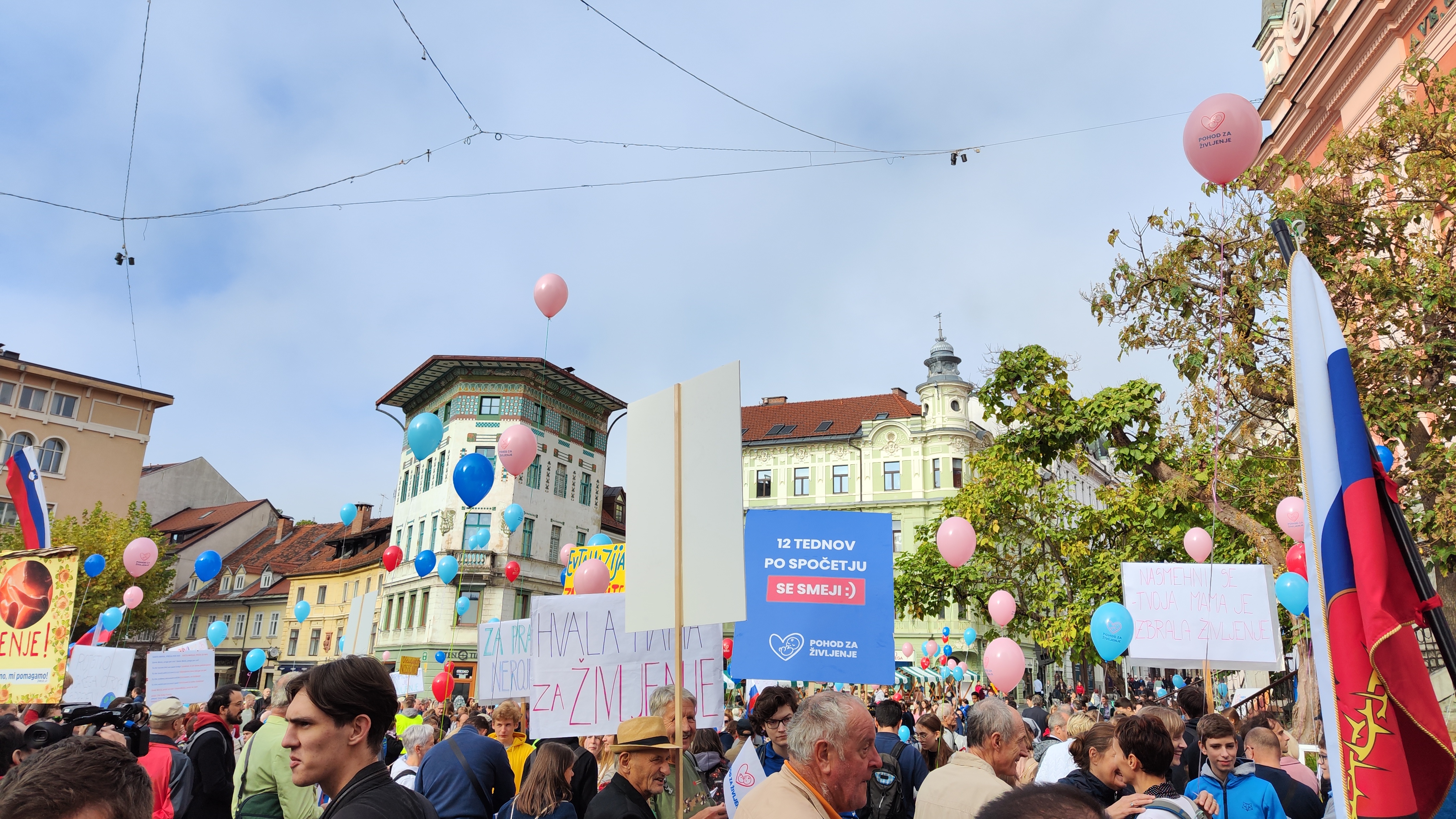 splav, sara štiglic