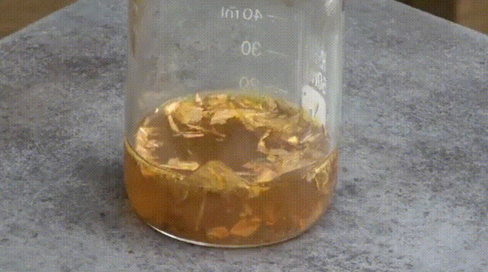 zlatotopka, aqua regis, zlato