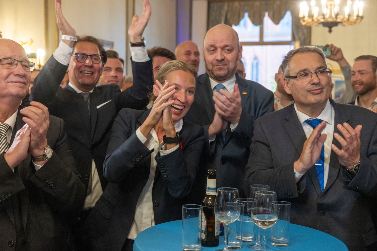 afd, nemčija, volitve