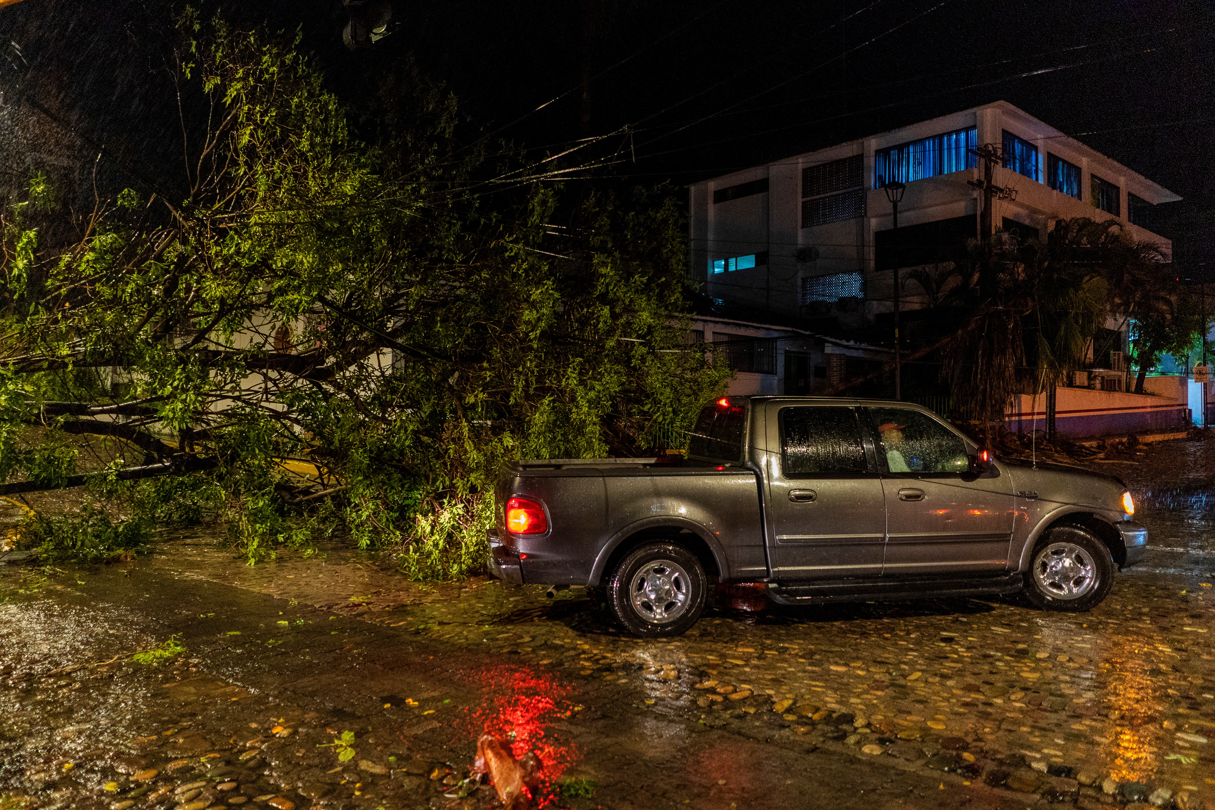 Foto: Christian Ruano/REUTERS