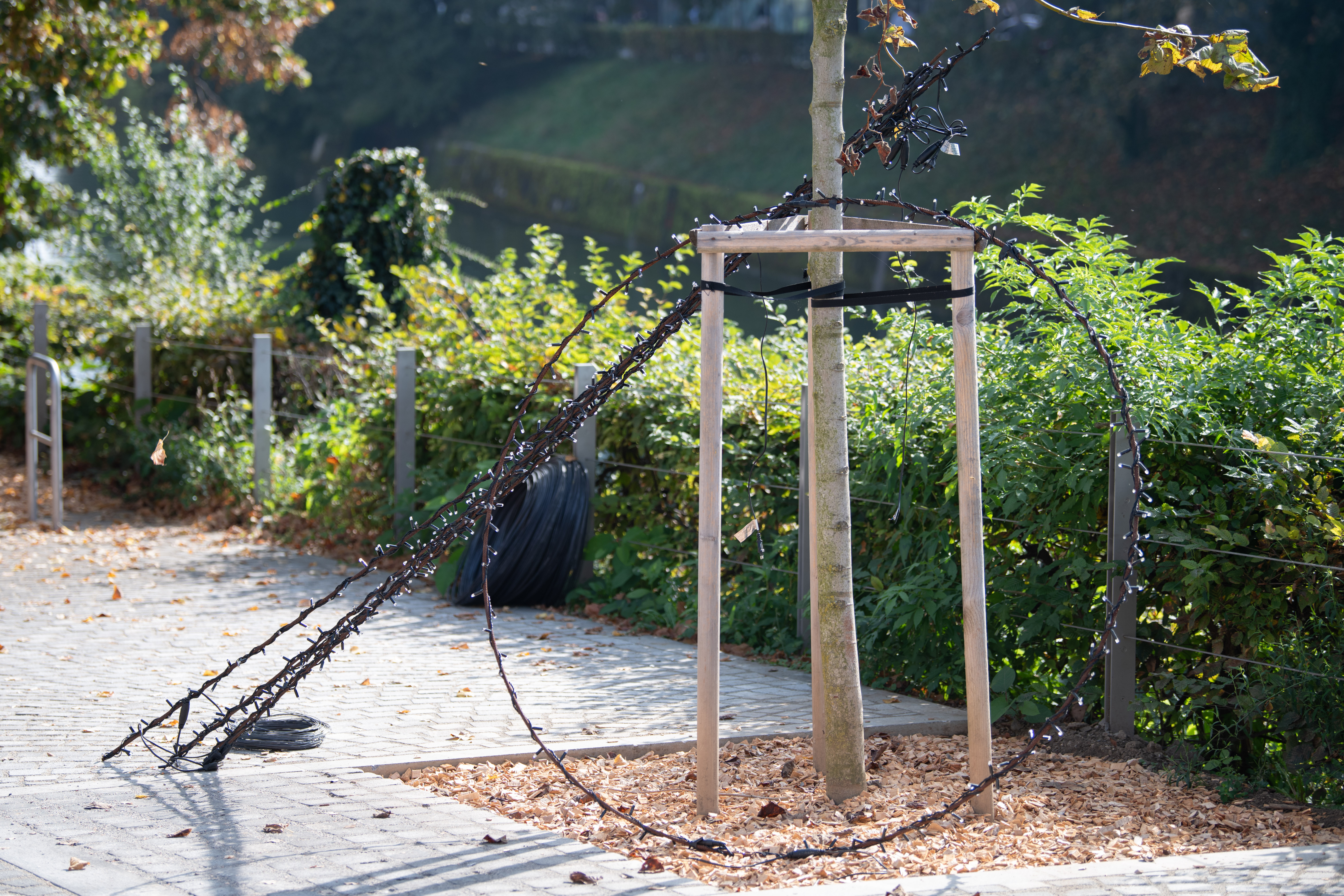 Foto: Jan Gregorc/N1