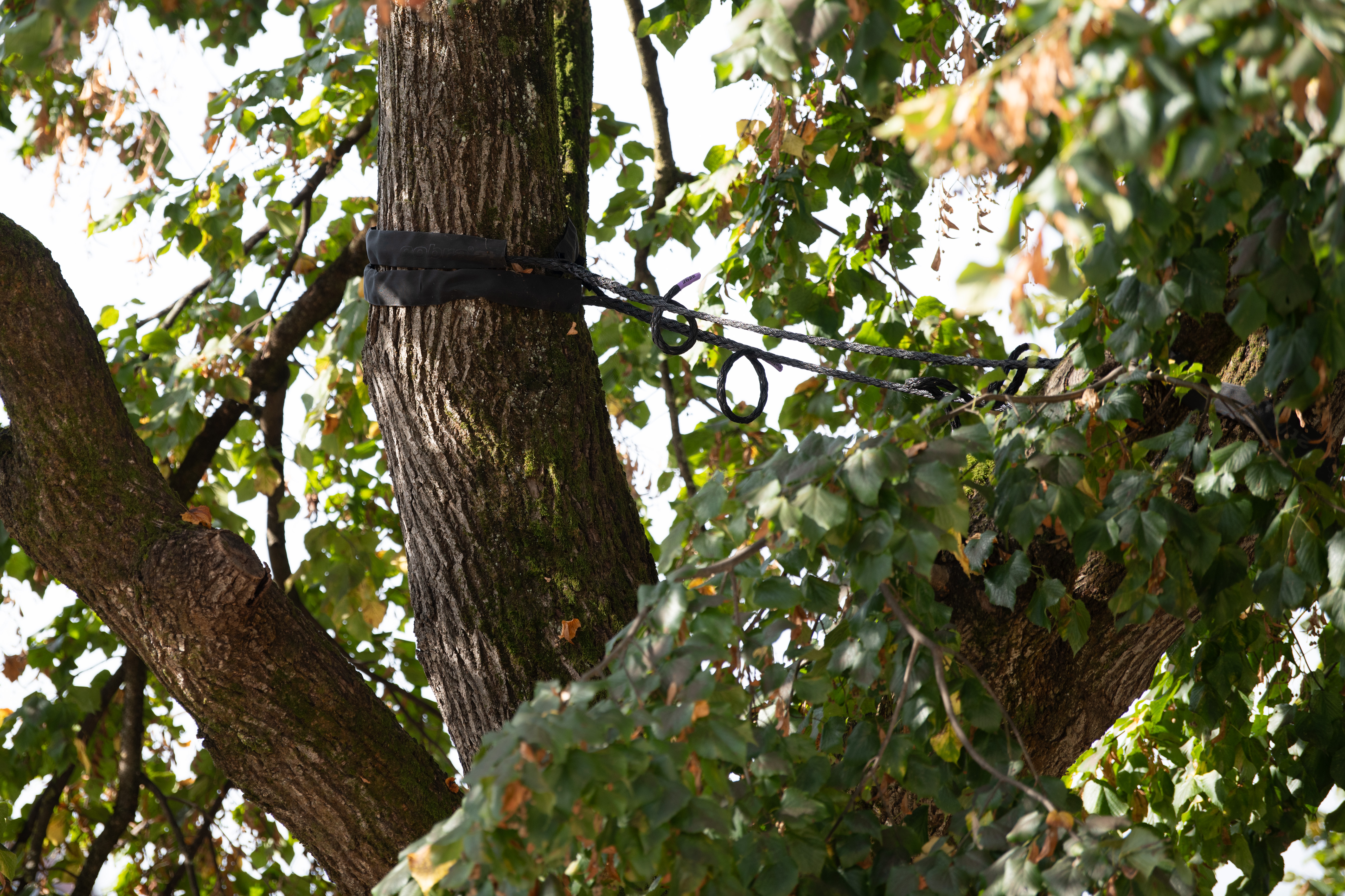 Foto: Jan Gregorc/N1