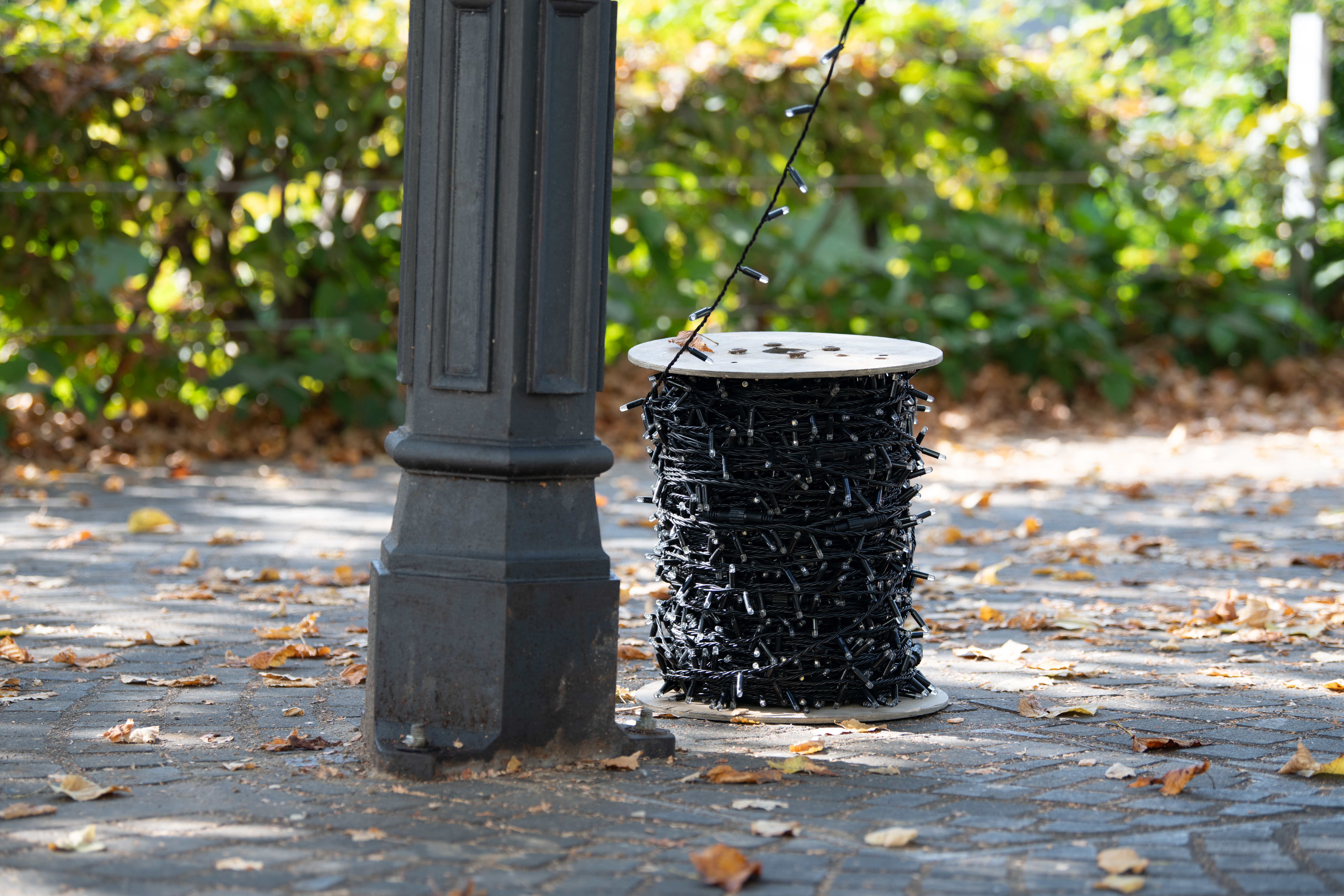 Foto: Jan Gregorc/N1