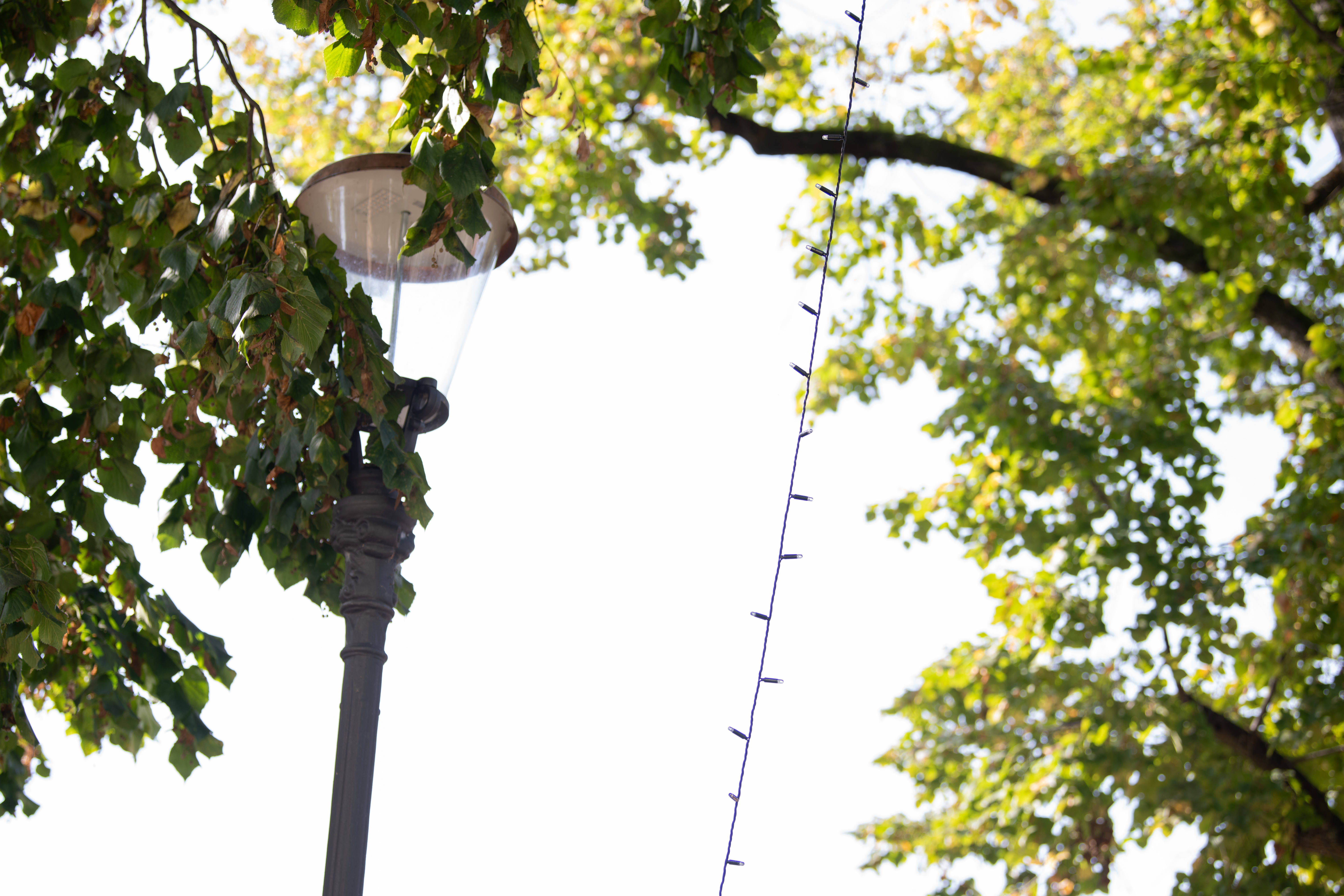 Foto: Jan Gregorc/N1