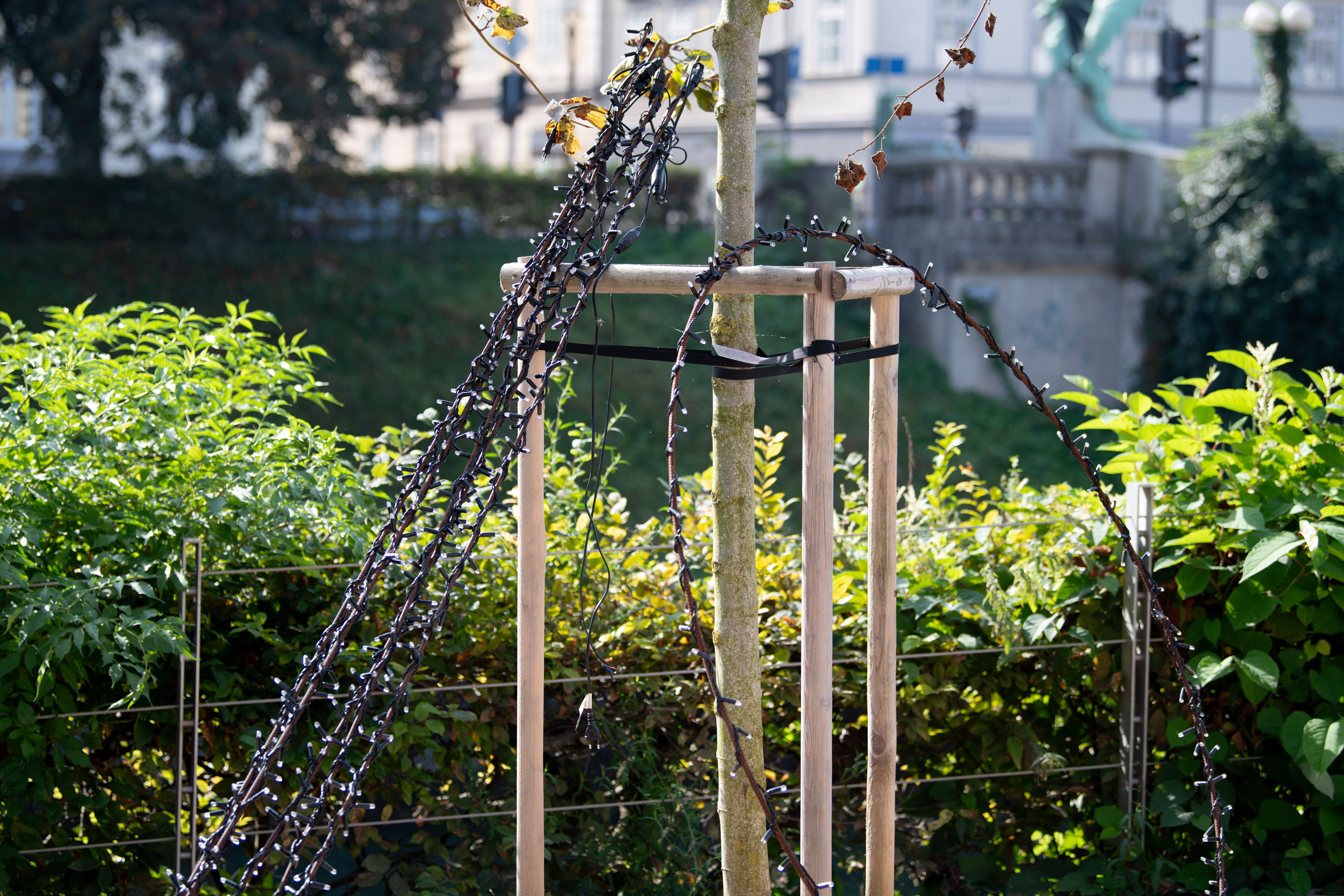 Foto: Jan Gregorc/N1