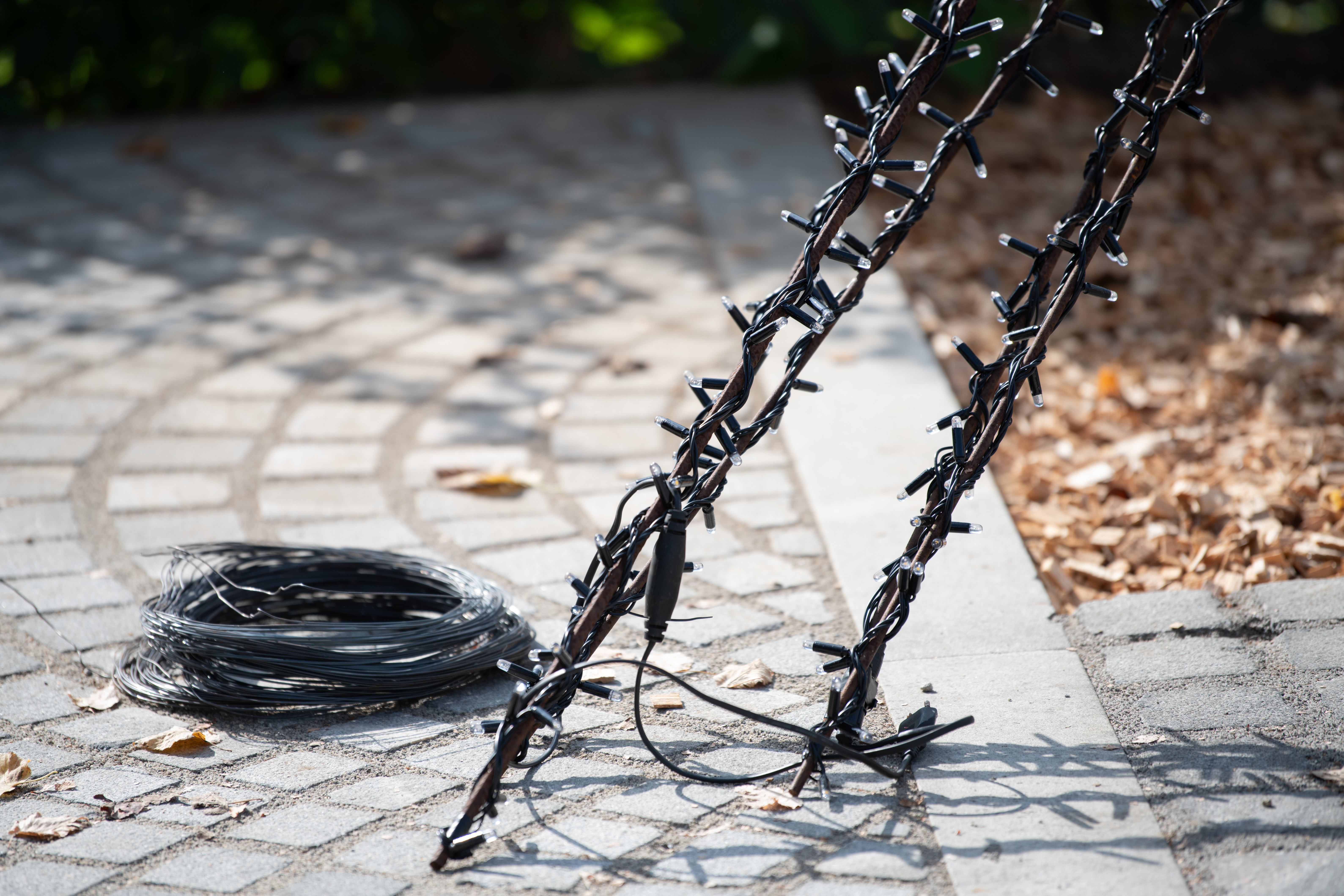 Foto: Jan Gregorc/N1