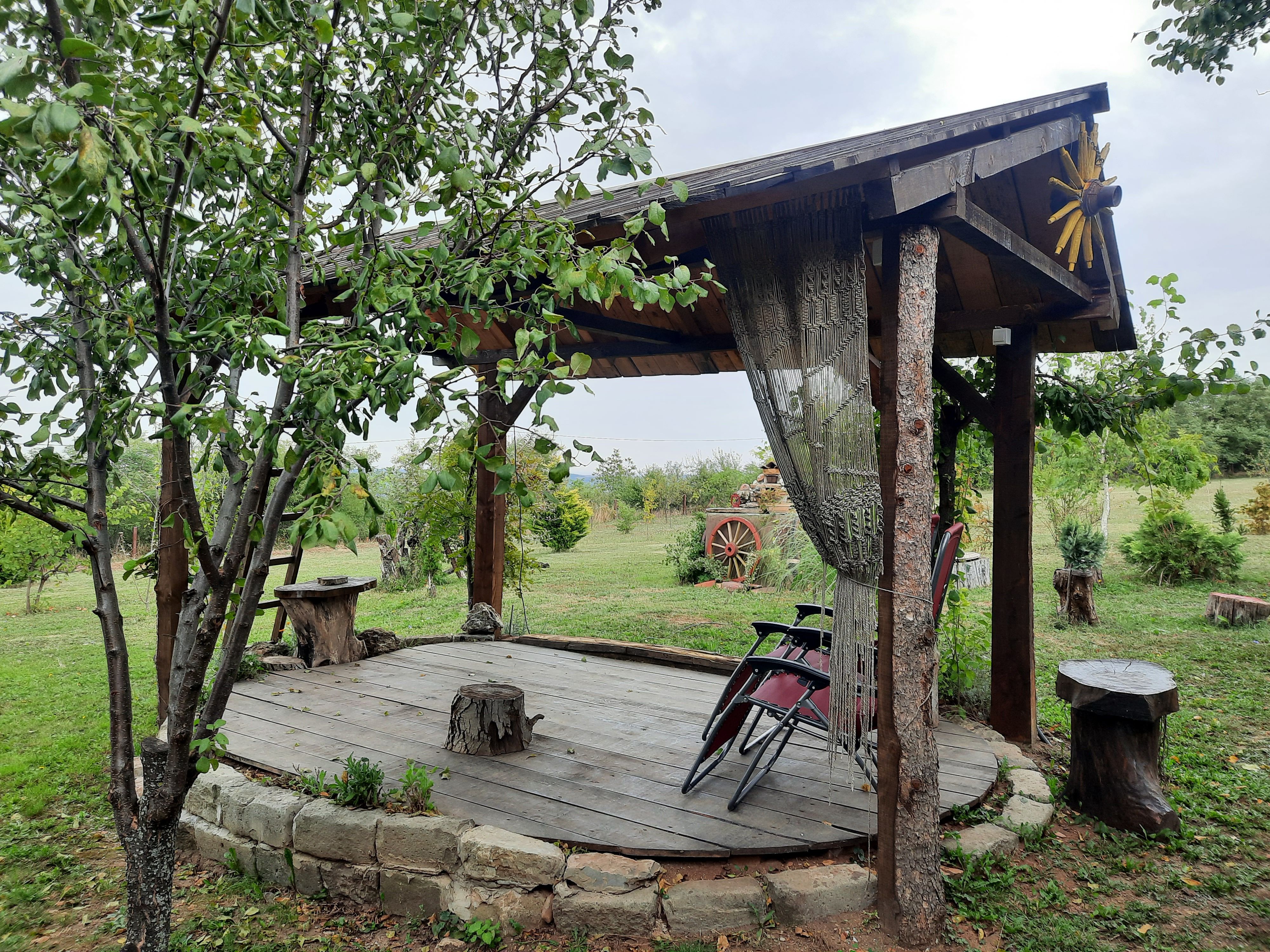 Foto: Aleksandra Petrović/NOVA.RS