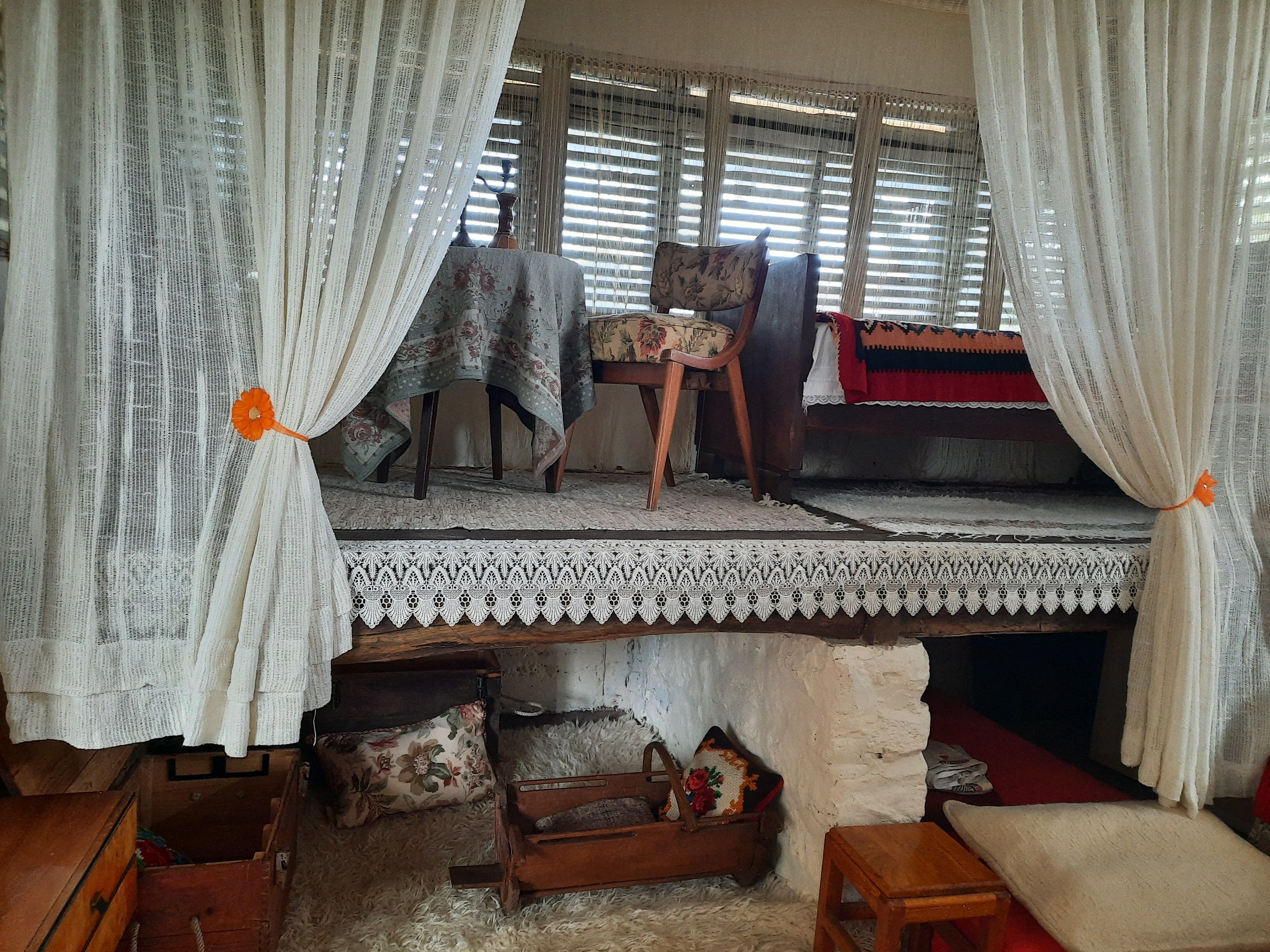 Foto: Aleksandra Petrović/NOVA.RS