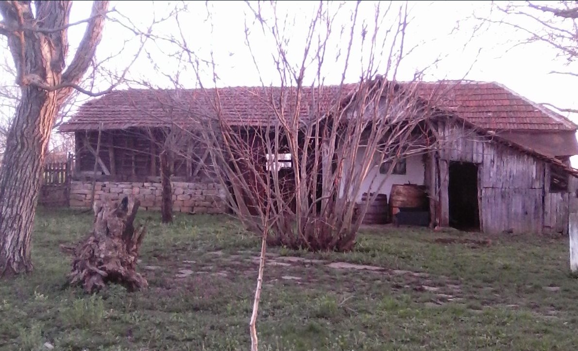 Foto Aleksandra Petrović Nova.rs 3