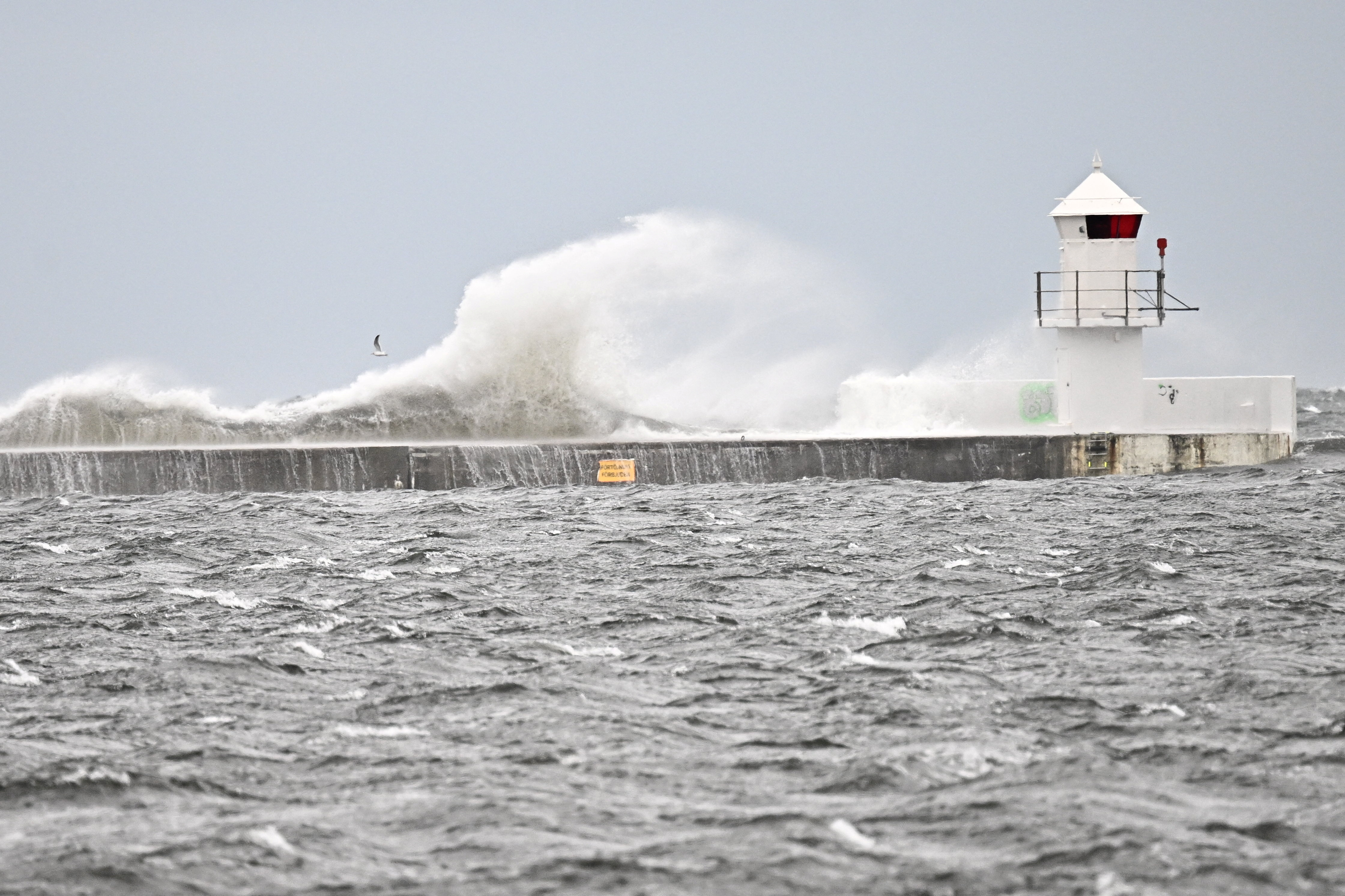 Neurje Babet na Švedskem