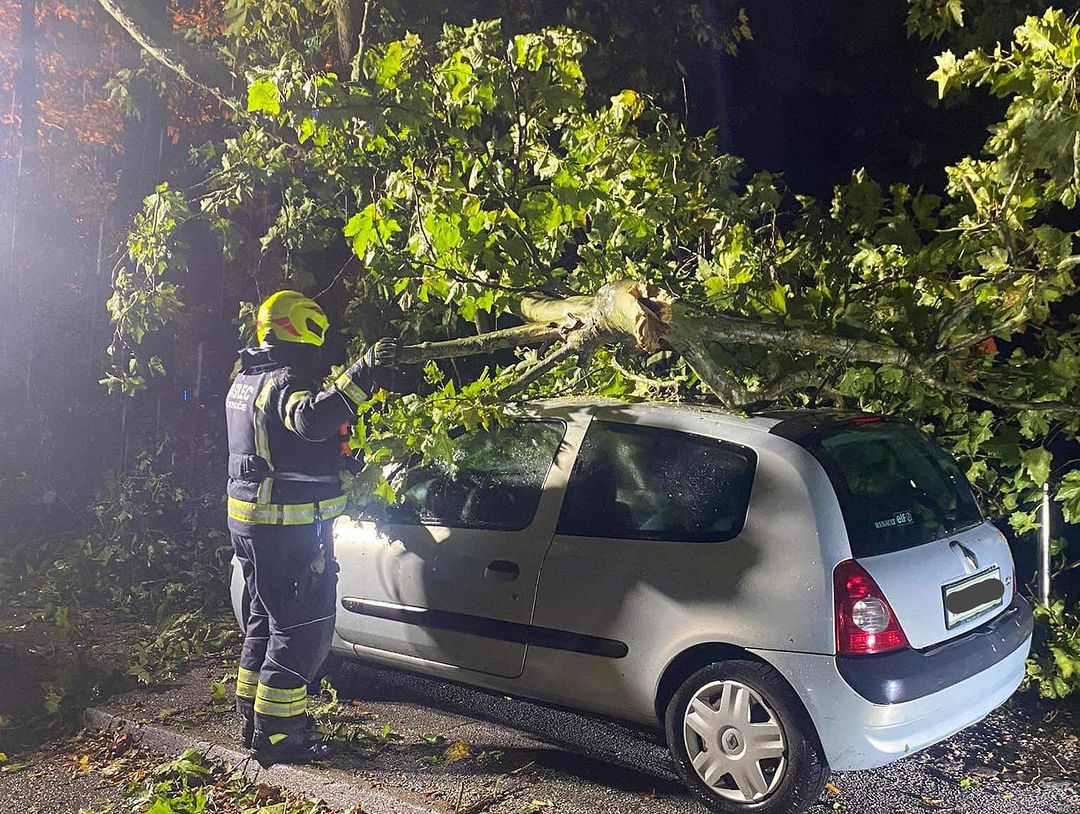 veter, vetrolom, ljubljana