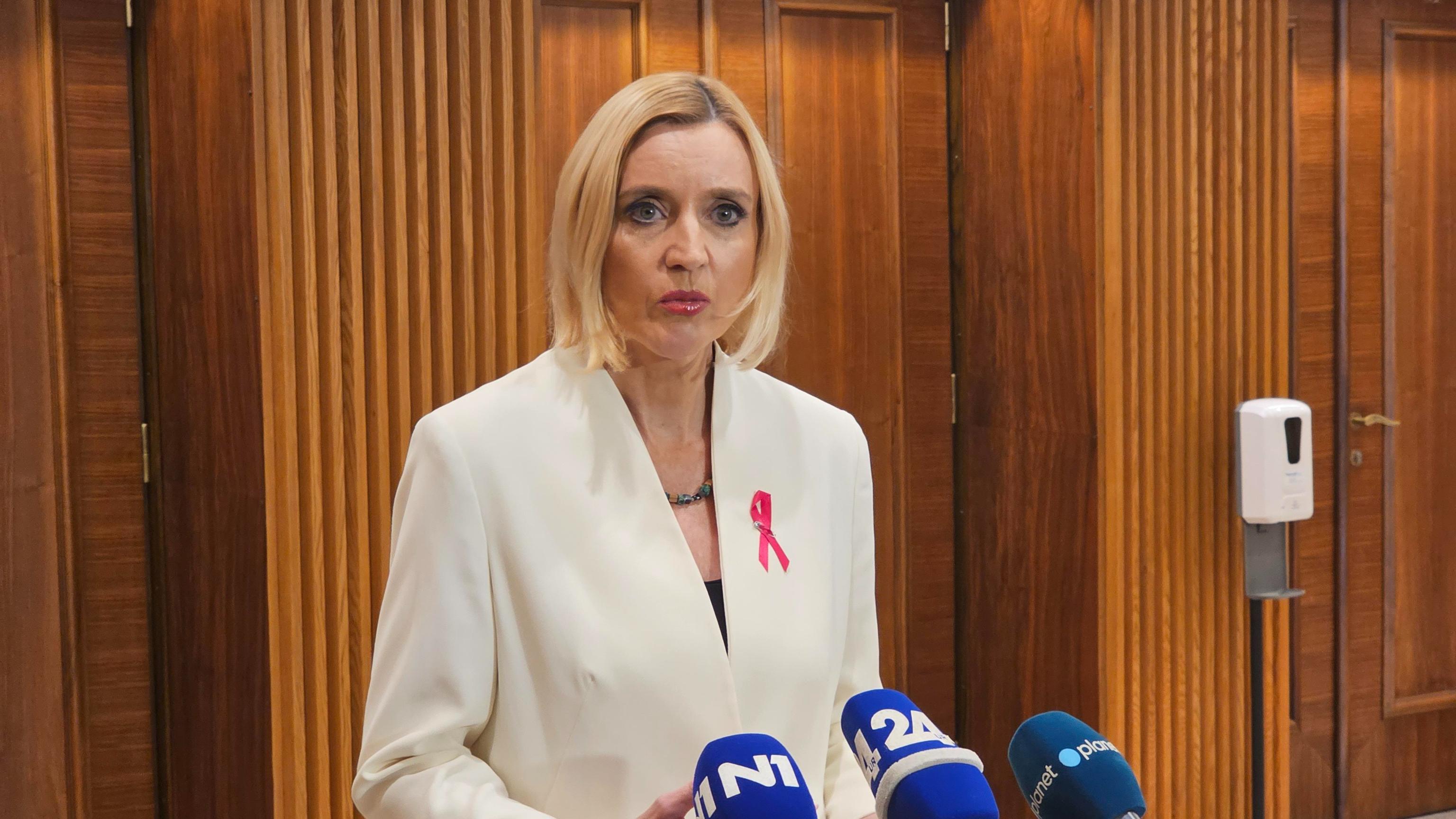 mojca šetinc pašek