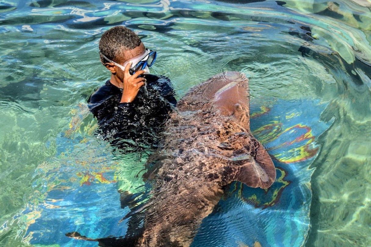 Foto: Zajem zaslona/GOOGLE MAPS