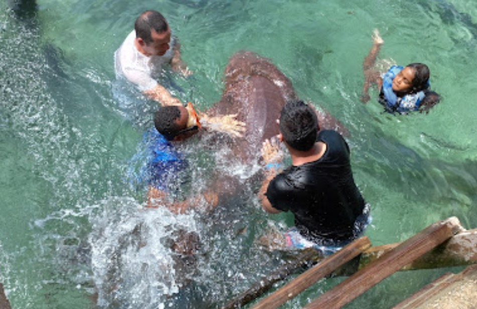 Santa Cruz del Islote, Kolumbija, Južna Amerika