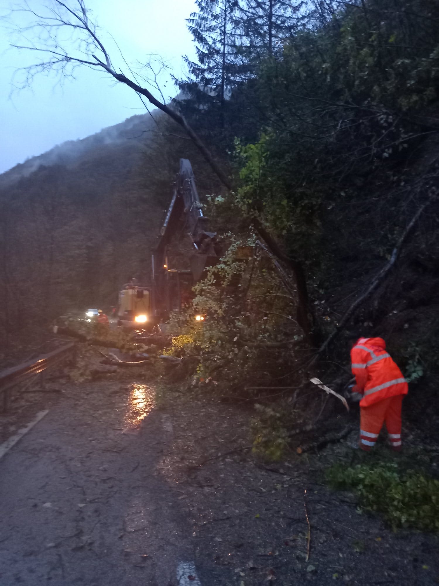 baška grapa, tolmin